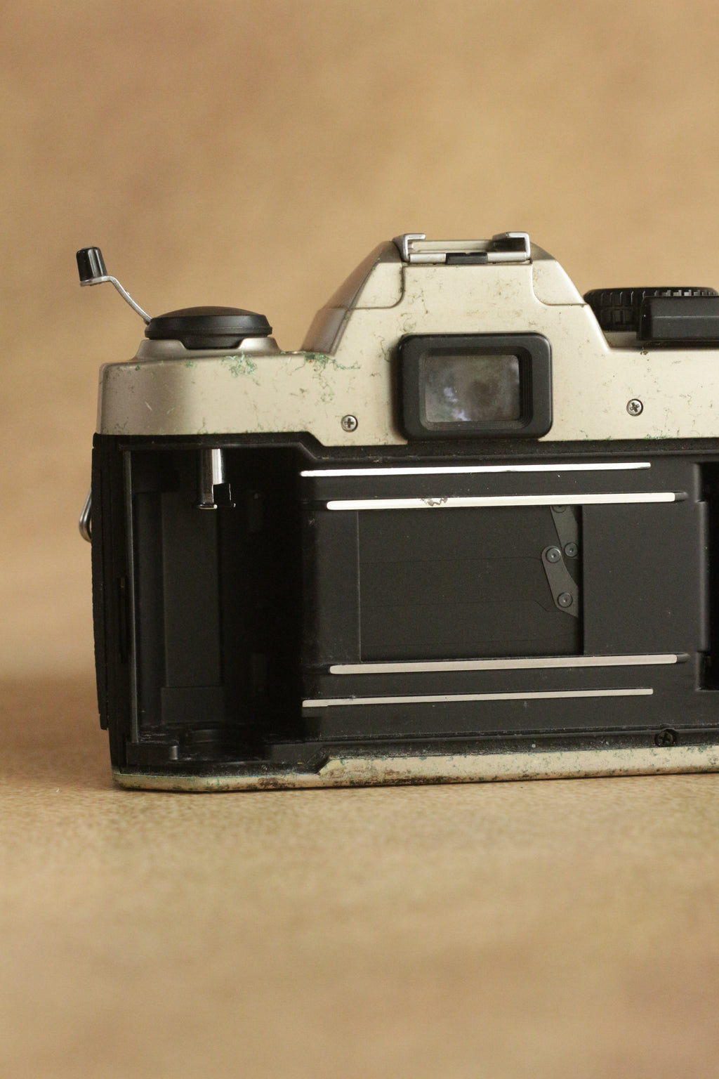 Nikon FM10 + Nikkor 35-70mm Zoom