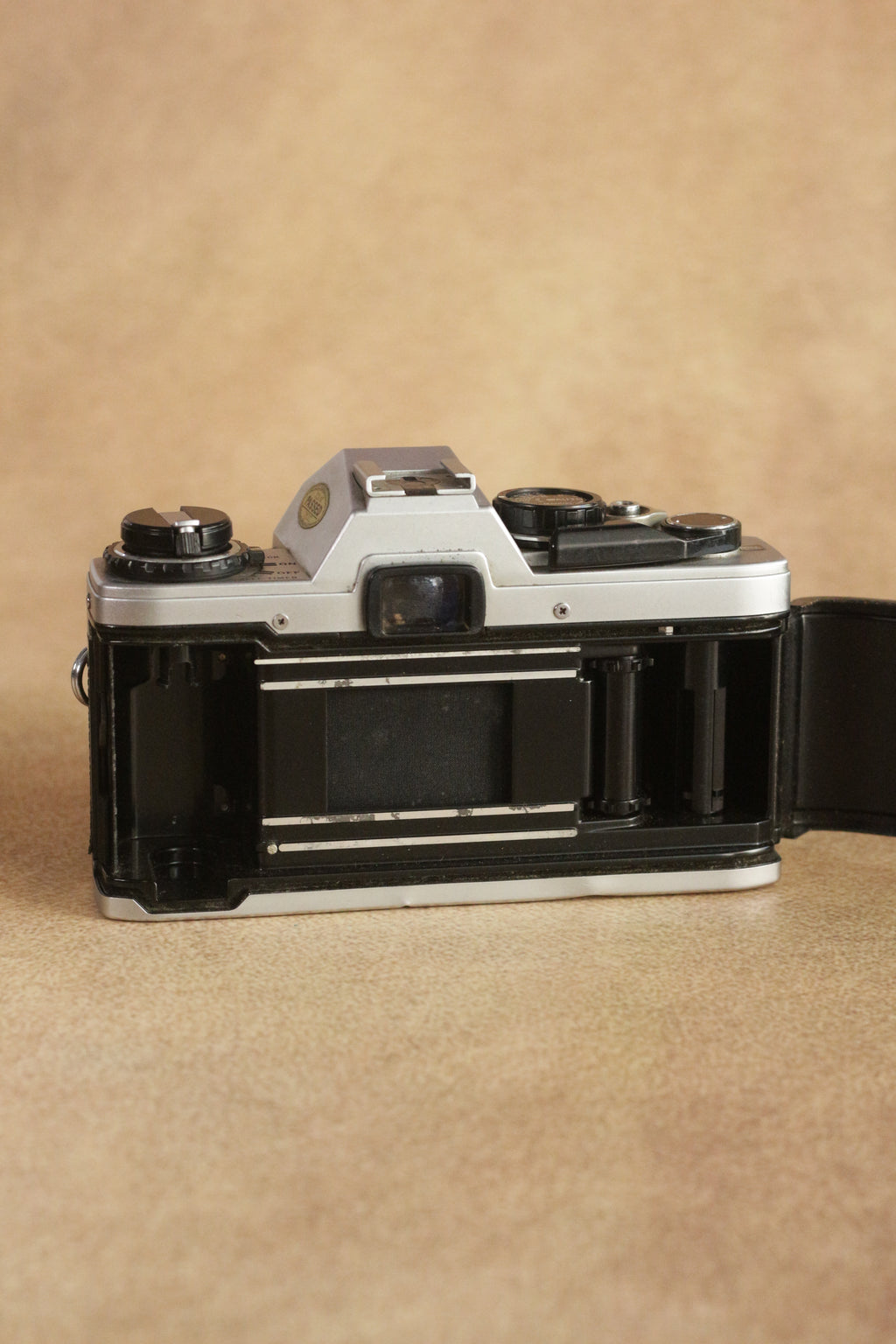 Olympus OM10 + Zuiko Auto-S 50mm F1.8 + Manual Adapter