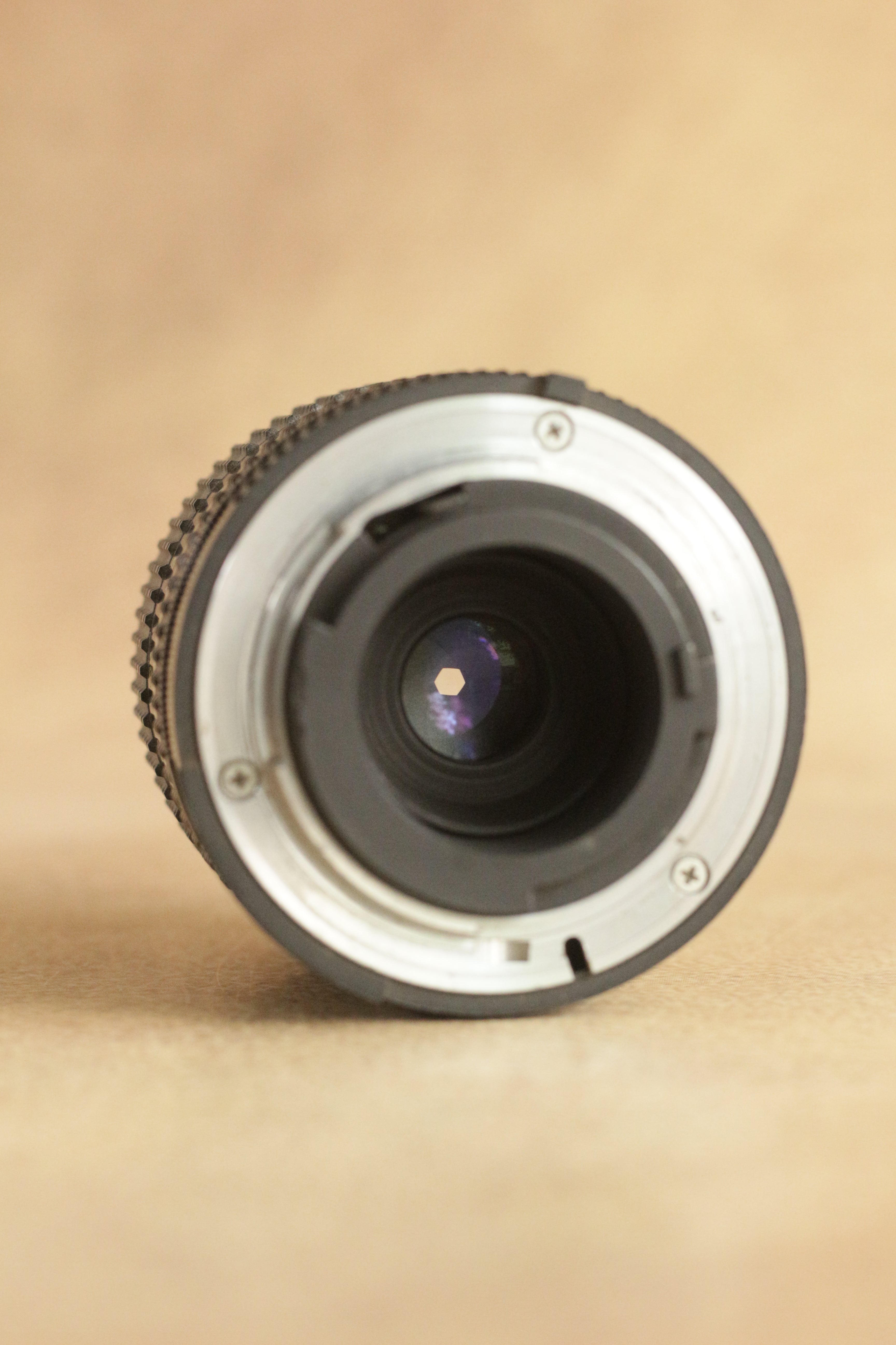 Nikon FM10 + Nikkor 35-70mm Zoom