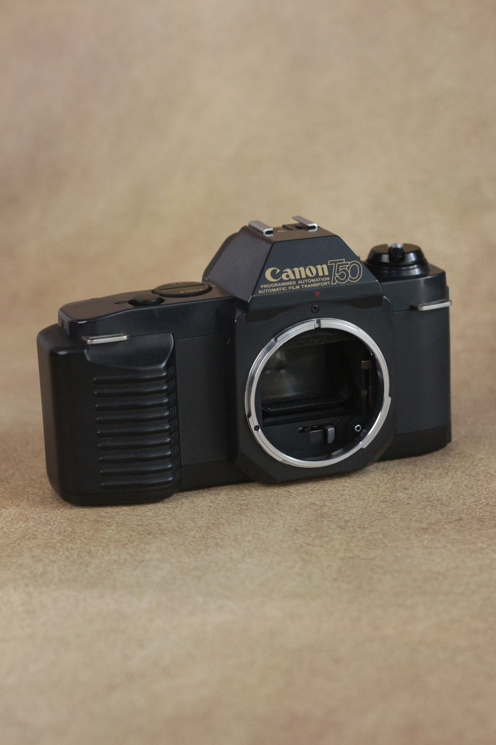 Canon T50 + Sigma 35-70mm F2.8-4 Kit