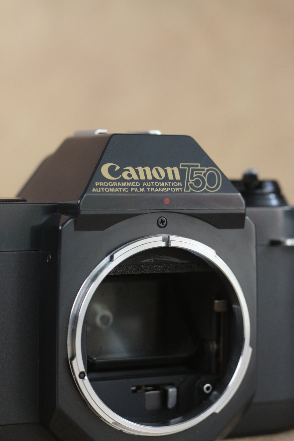 Canon T50 + Sigma 35-70mm F2.8-4 Kit