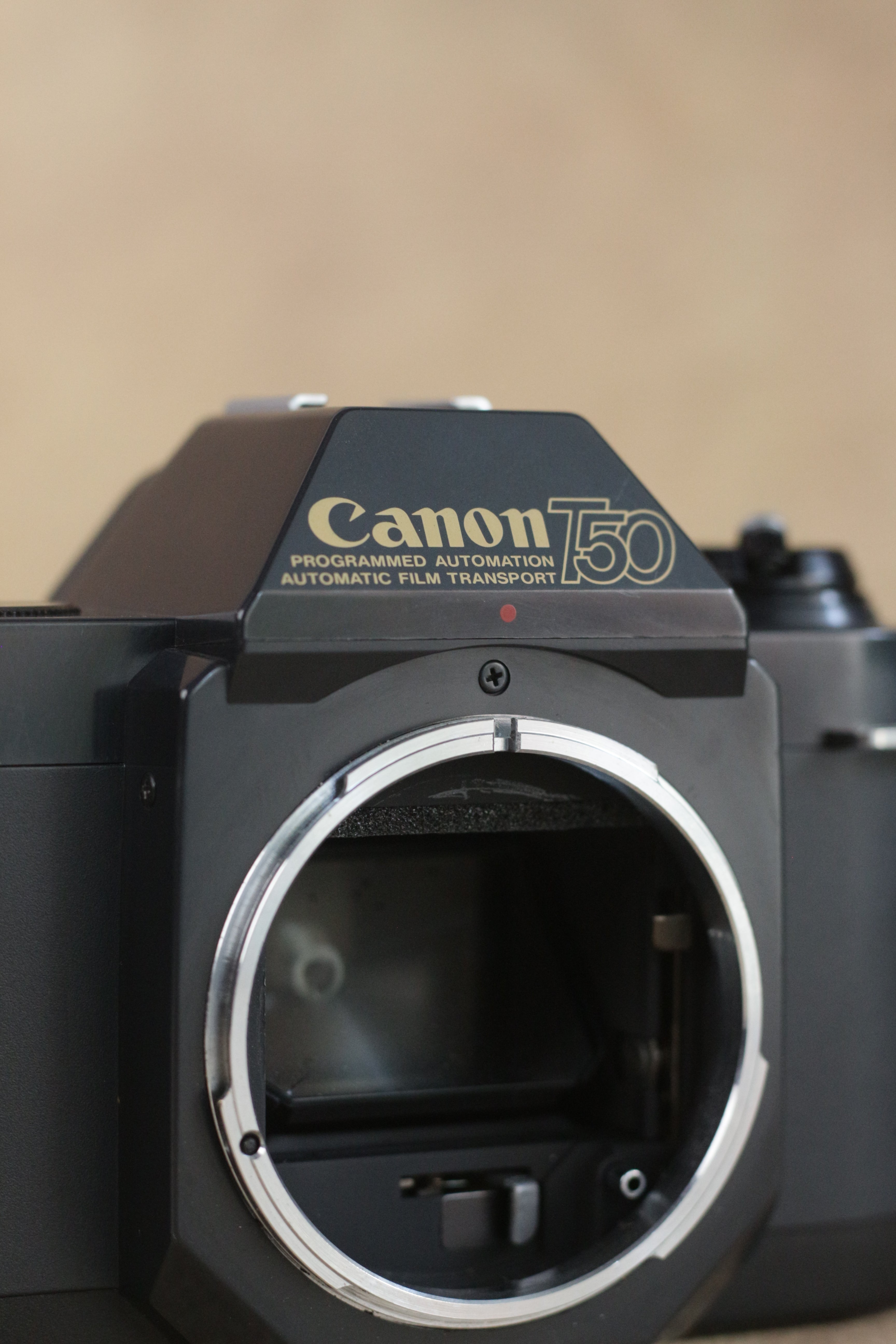 Canon T50 + Sigma 35-70mm F2.8-4 Kit