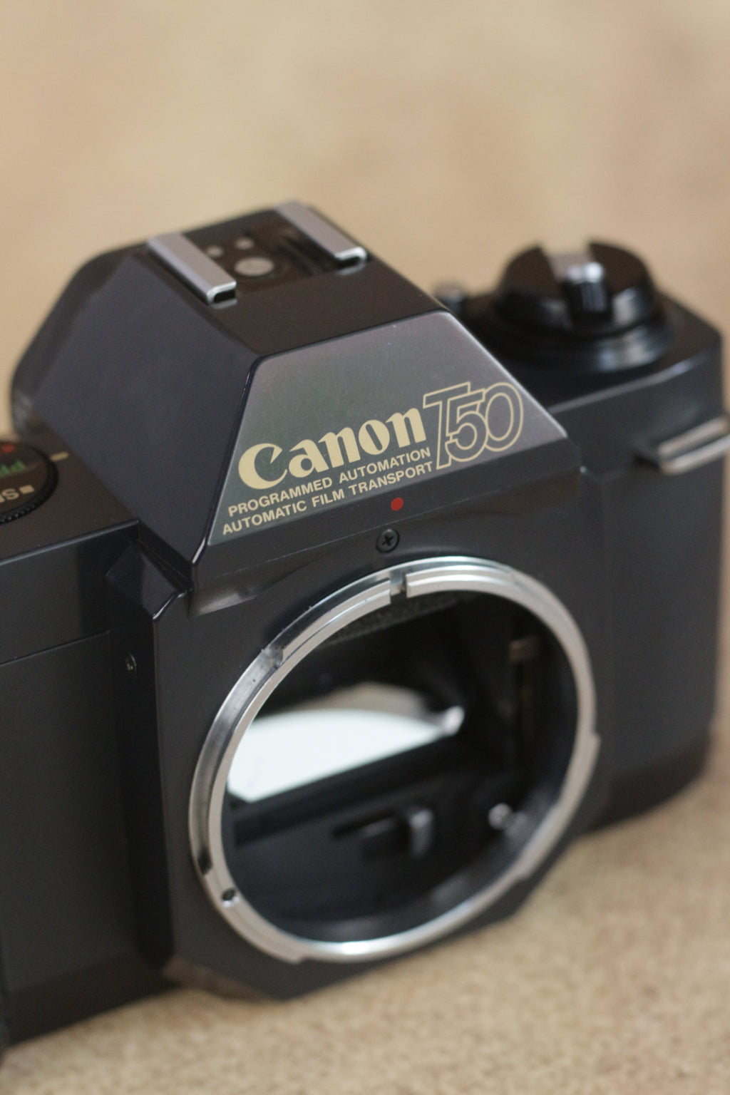 Canon T50 + Sigma 35-70mm F2.8-4 Kit