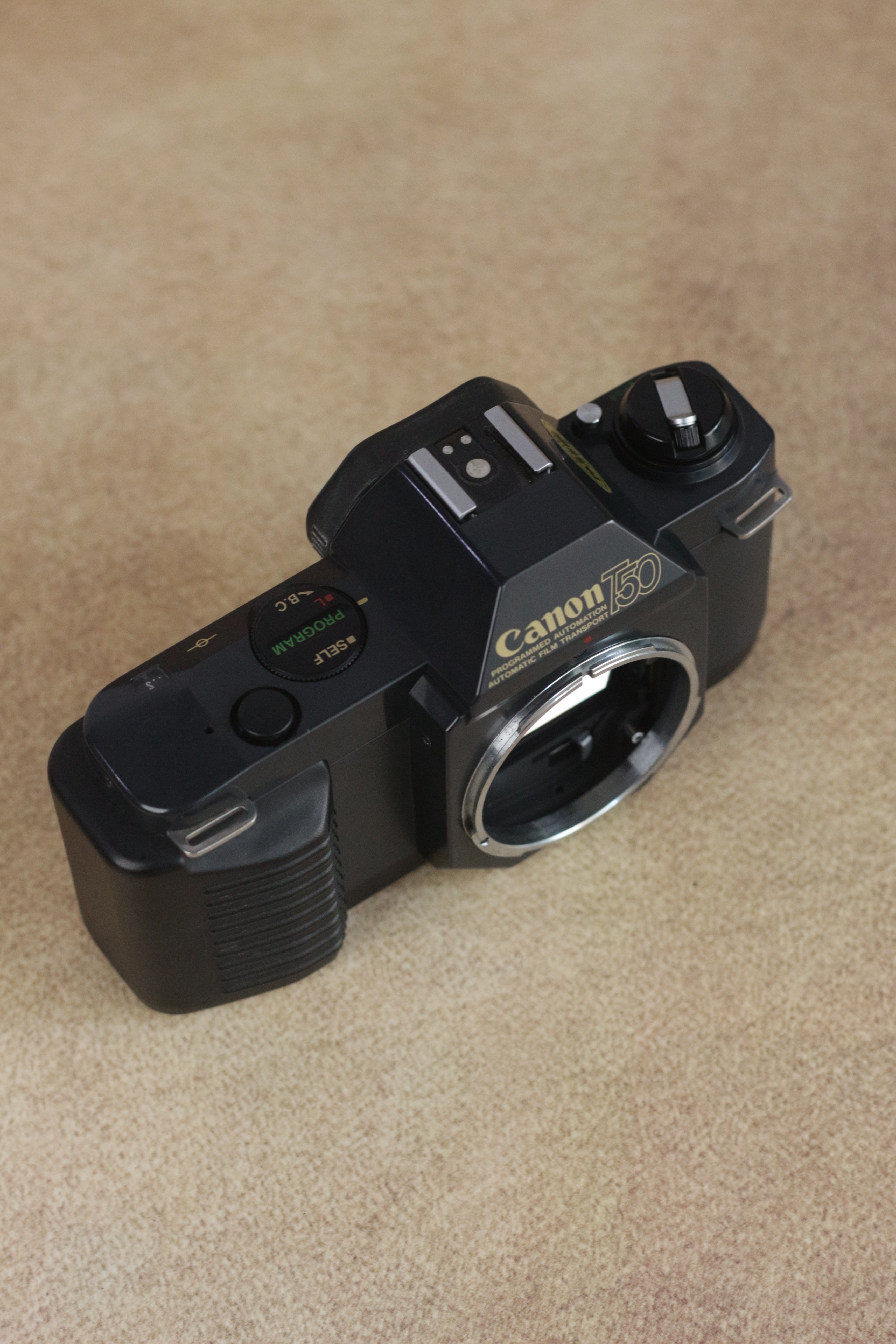 Canon T50 + Sigma 35-70mm F2.8-4 Kit