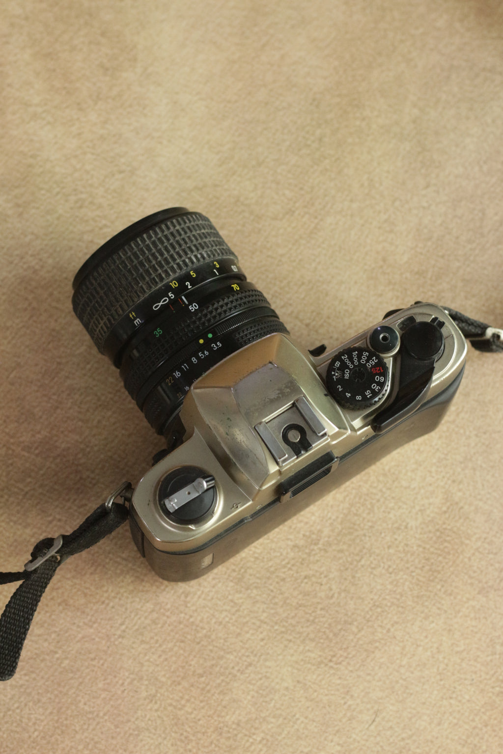 Nikon FM10 + Nikkor 35-70mm Zoom