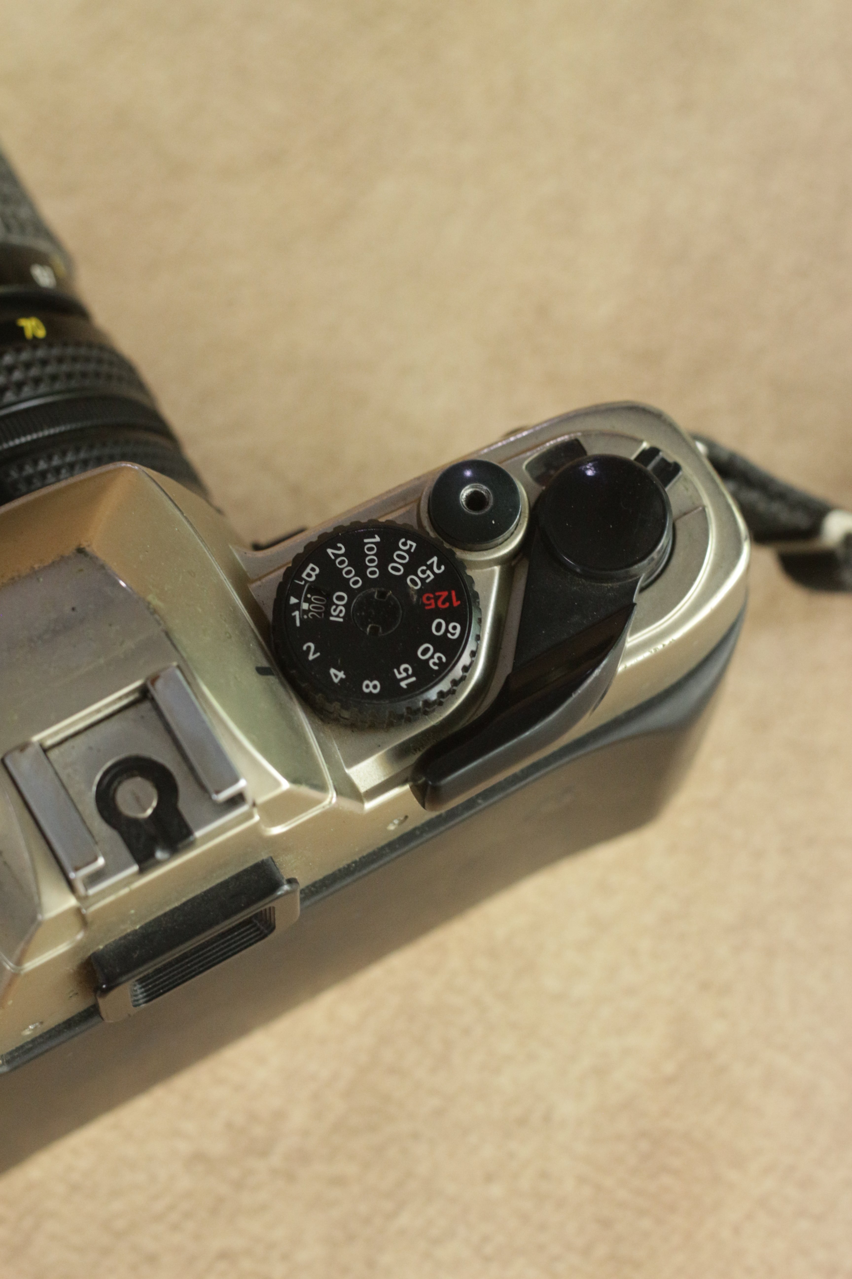 Nikon FM10 + Nikkor 35-70mm Zoom