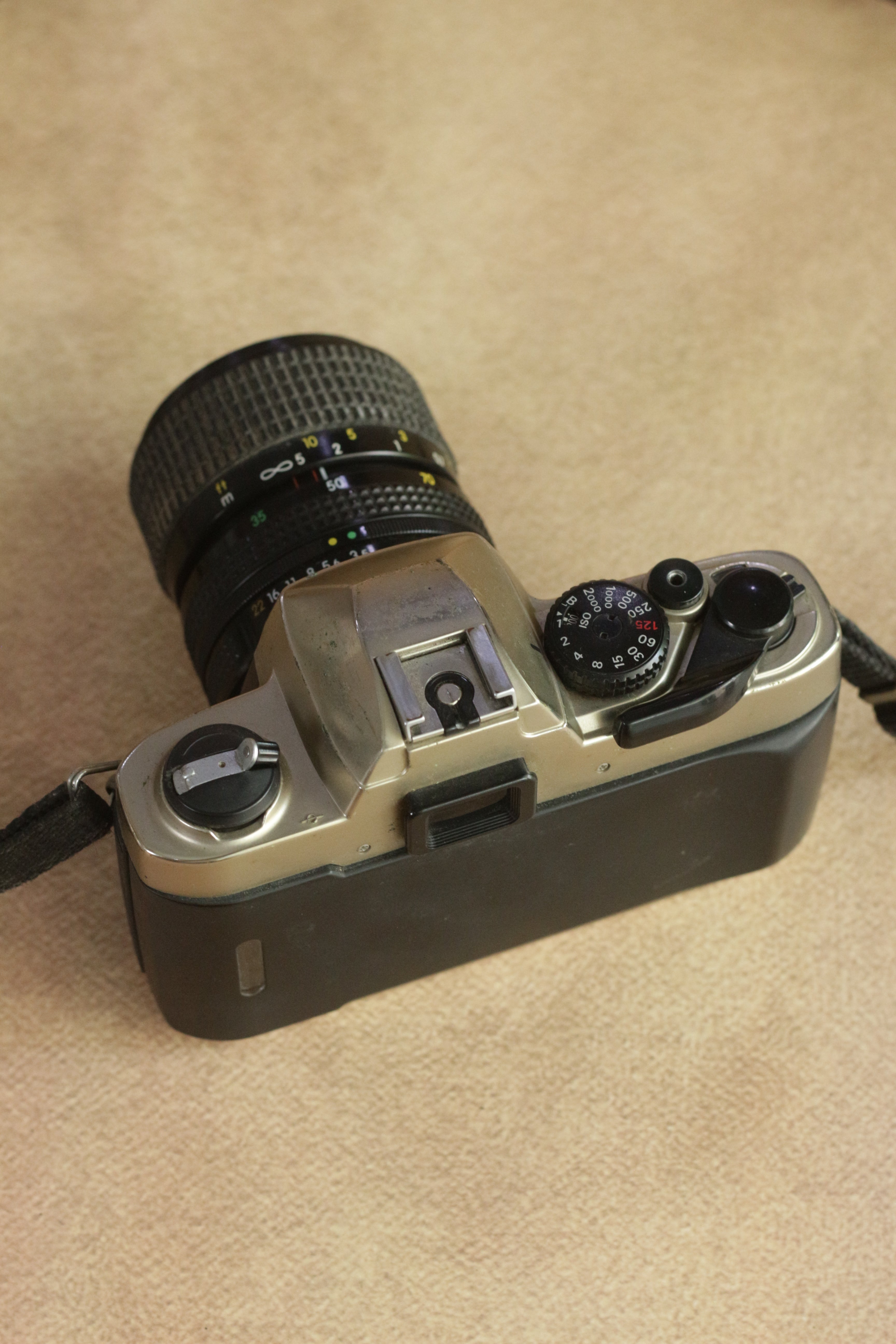 Nikon FM10 + Nikkor 35-70mm Zoom