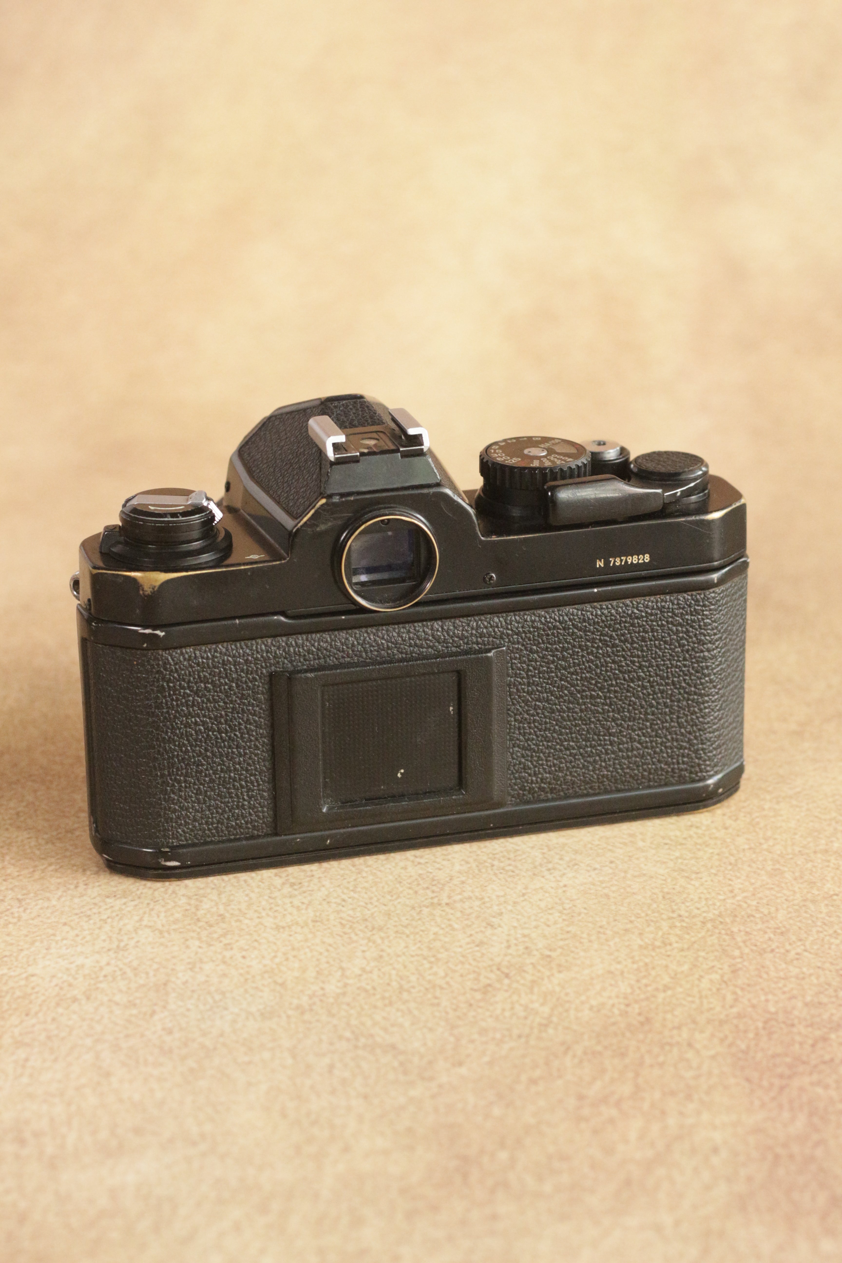 Nikon FM2n + Nikon Nikkor Series E 50mm F1.8
