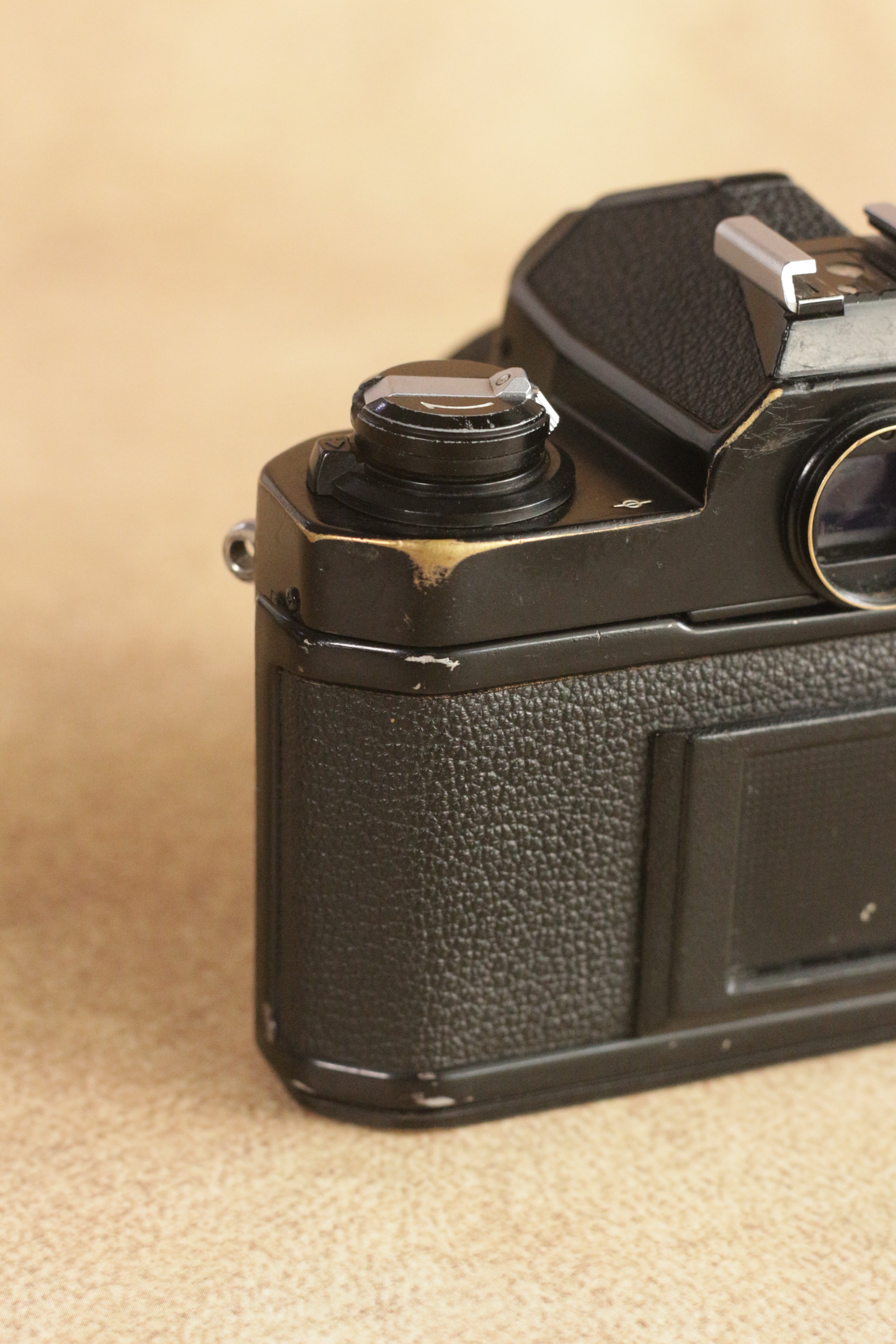 Nikon FM2n + Nikon Nikkor Series E 50mm F1.8