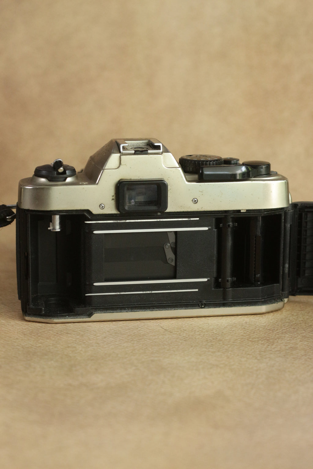 Nikon FM10 + Nikkor 35-70mm Zoom