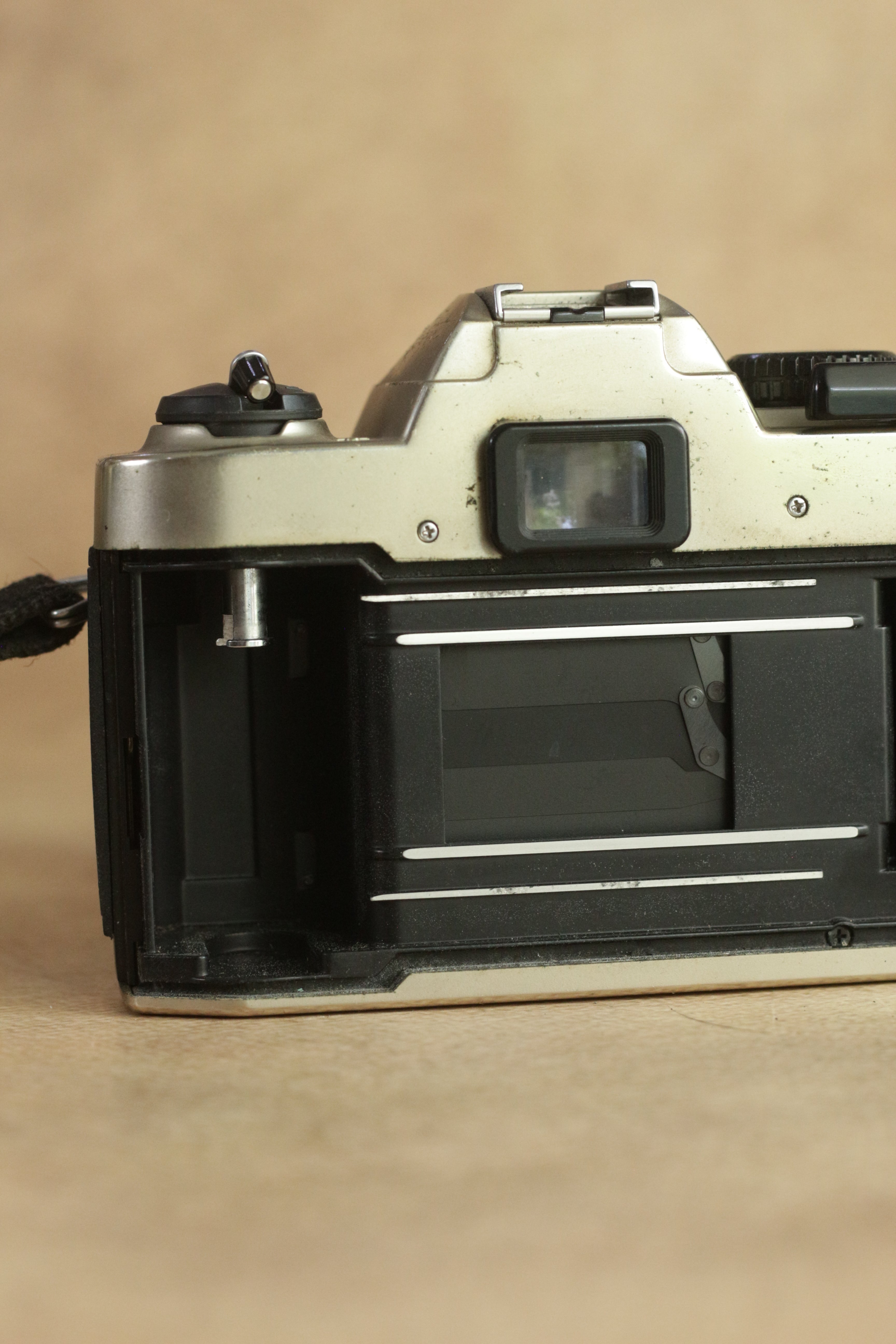 Nikon FM10 + Nikkor 35-70mm Zoom