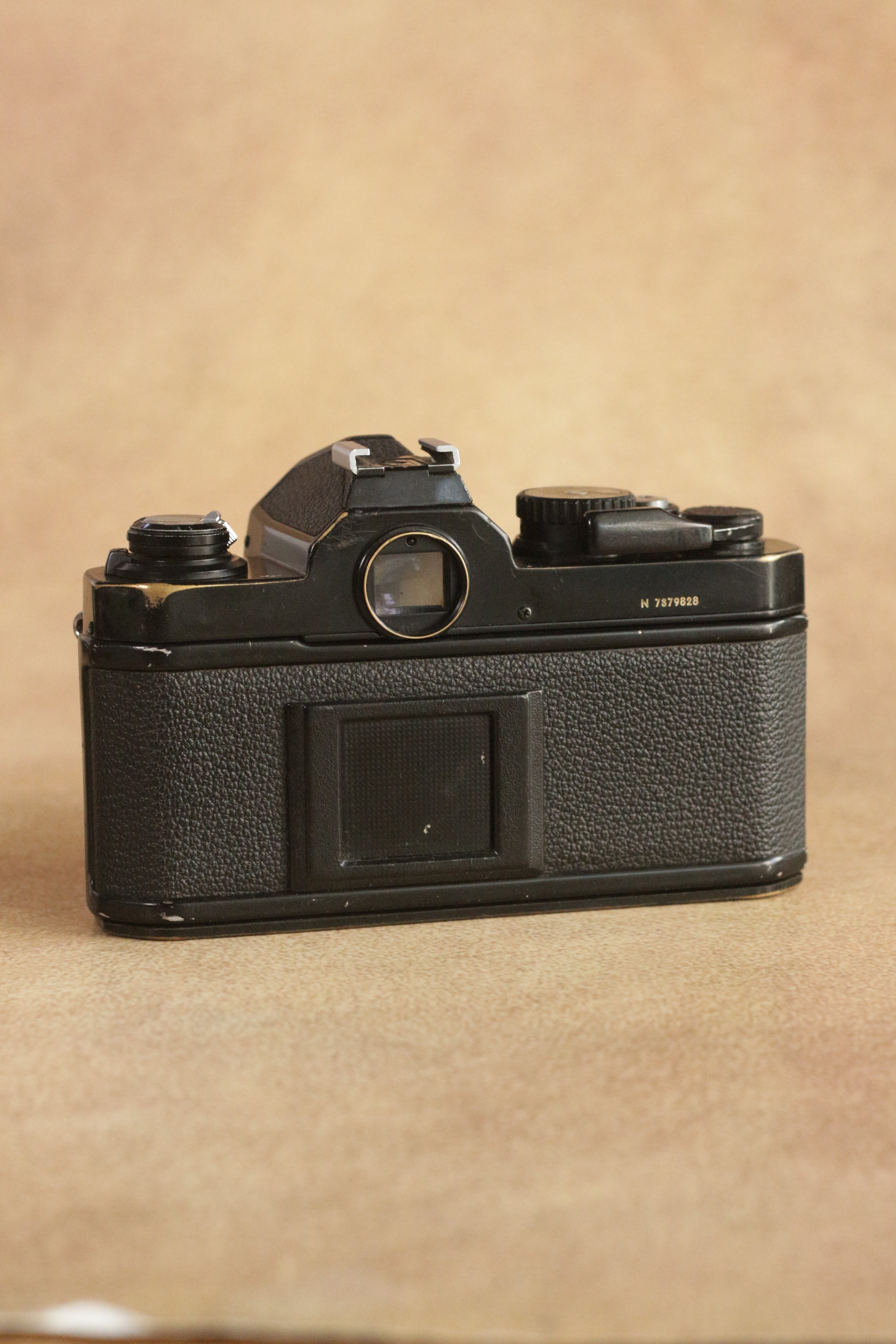 Nikon FM2n + Nikon Nikkor Series E 50mm F1.8