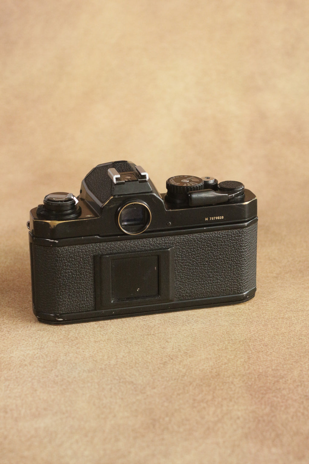 Nikon FM2n + Nikon Nikkor Series E 50mm F1.8