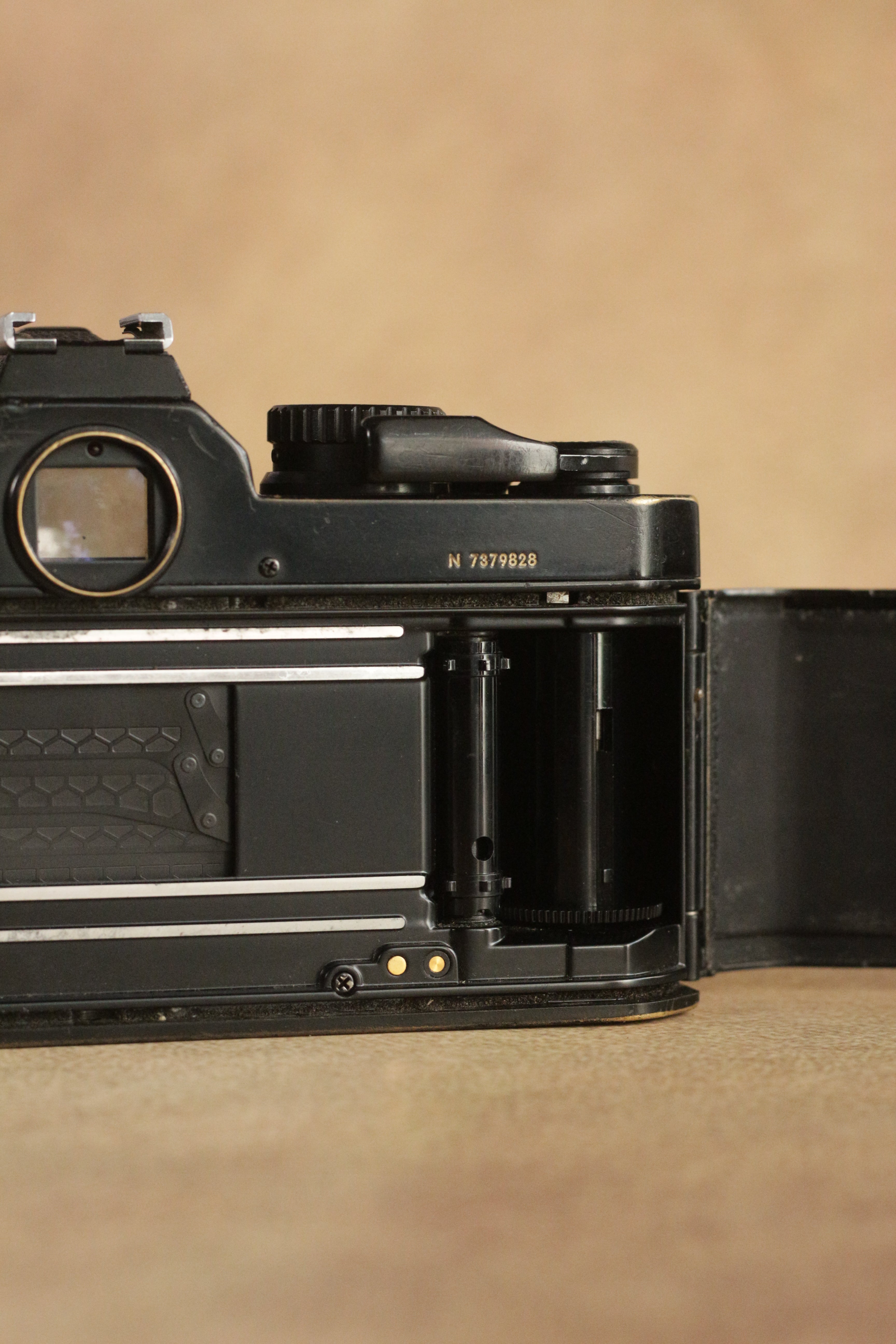 Nikon FM2n + Nikon Nikkor Series E 50mm F1.8
