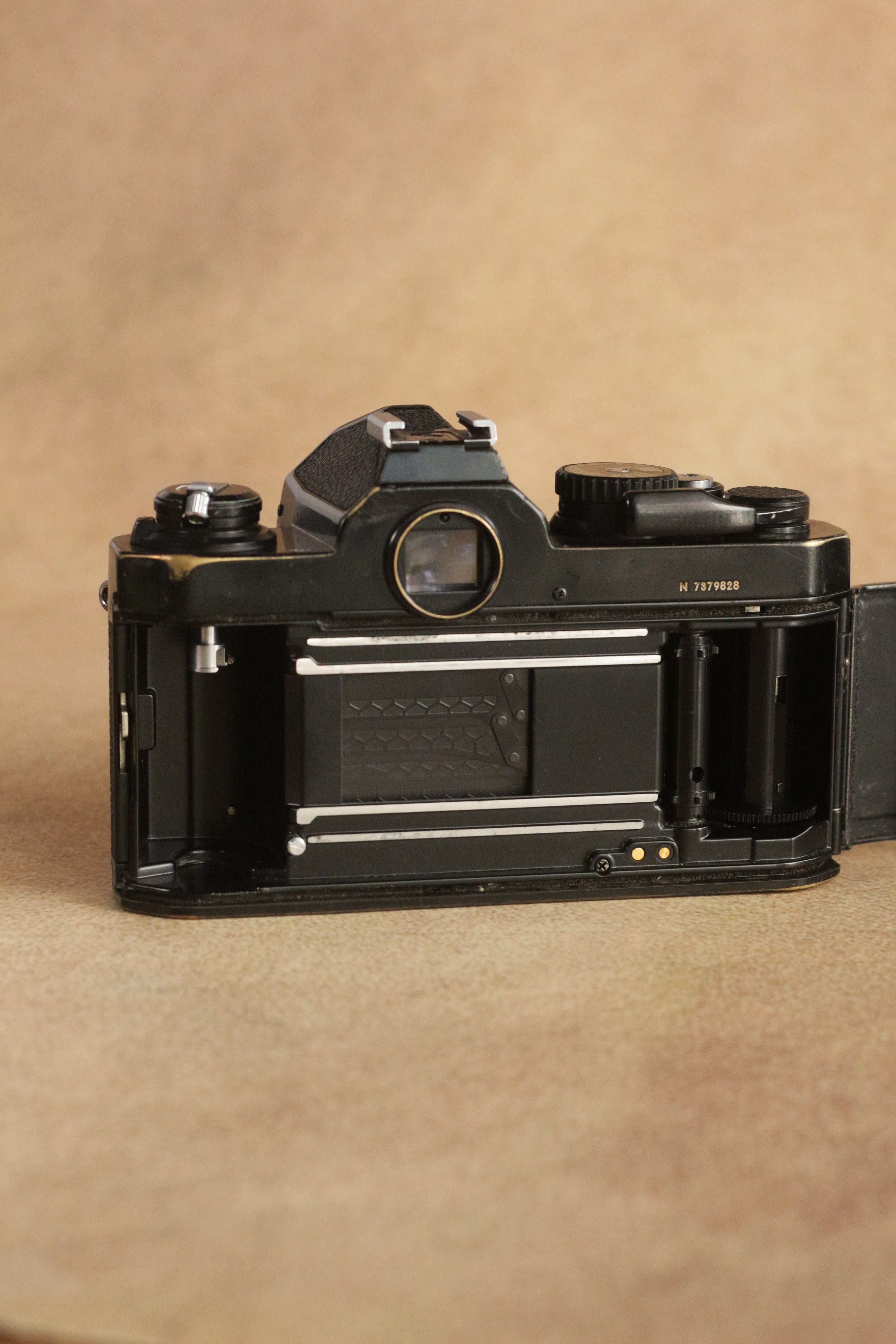 Nikon FM2n + Nikon Nikkor Series E 50mm F1.8
