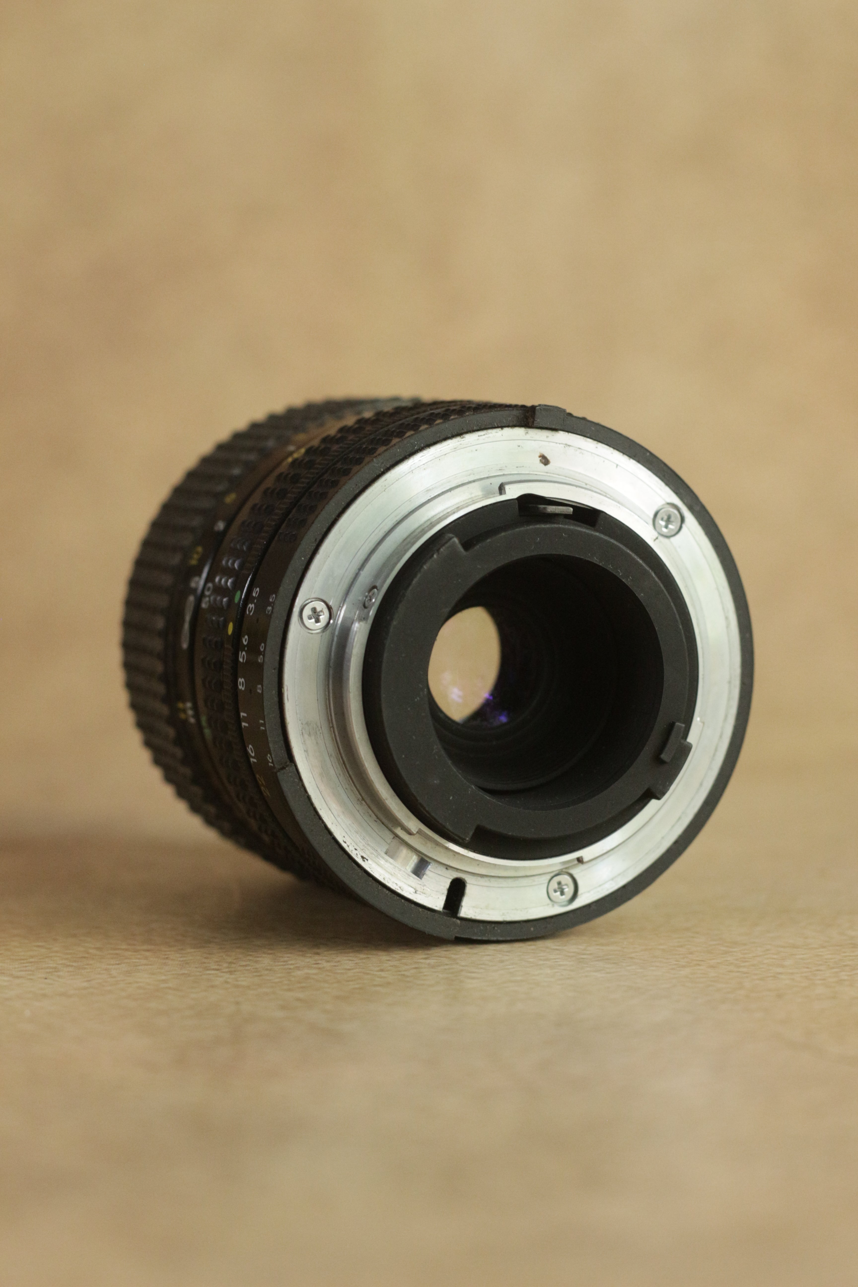 Nikon FM10 + Nikkor 35-70mm Zoom