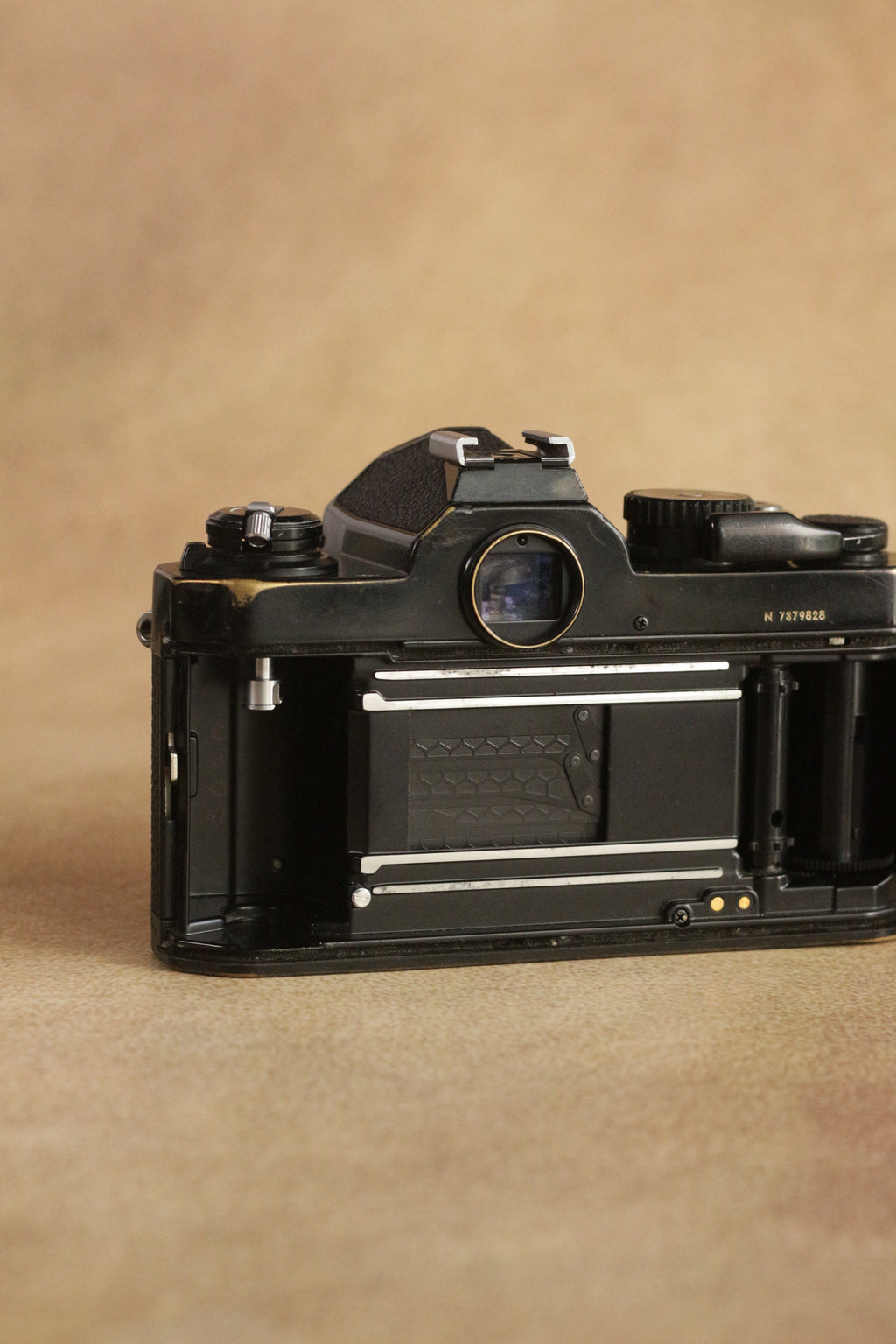 Nikon FM2n + Nikon Nikkor Series E 50mm F1.8