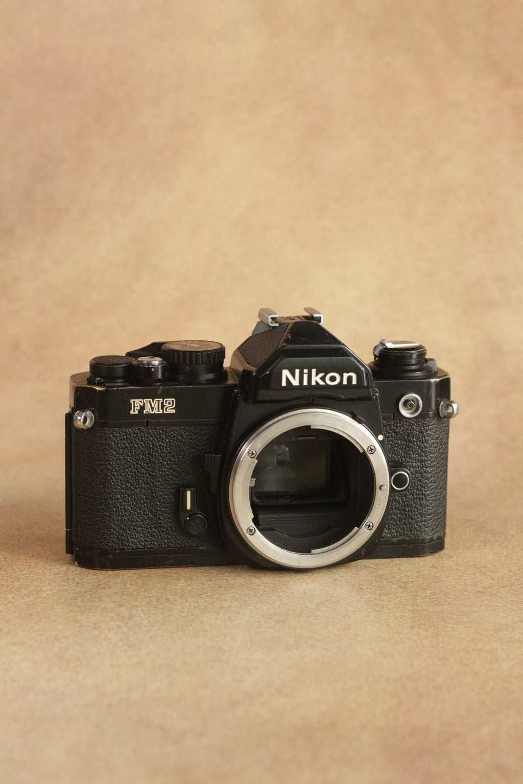Nikon FM2n + Nikon Nikkor Series E 50mm F1.8