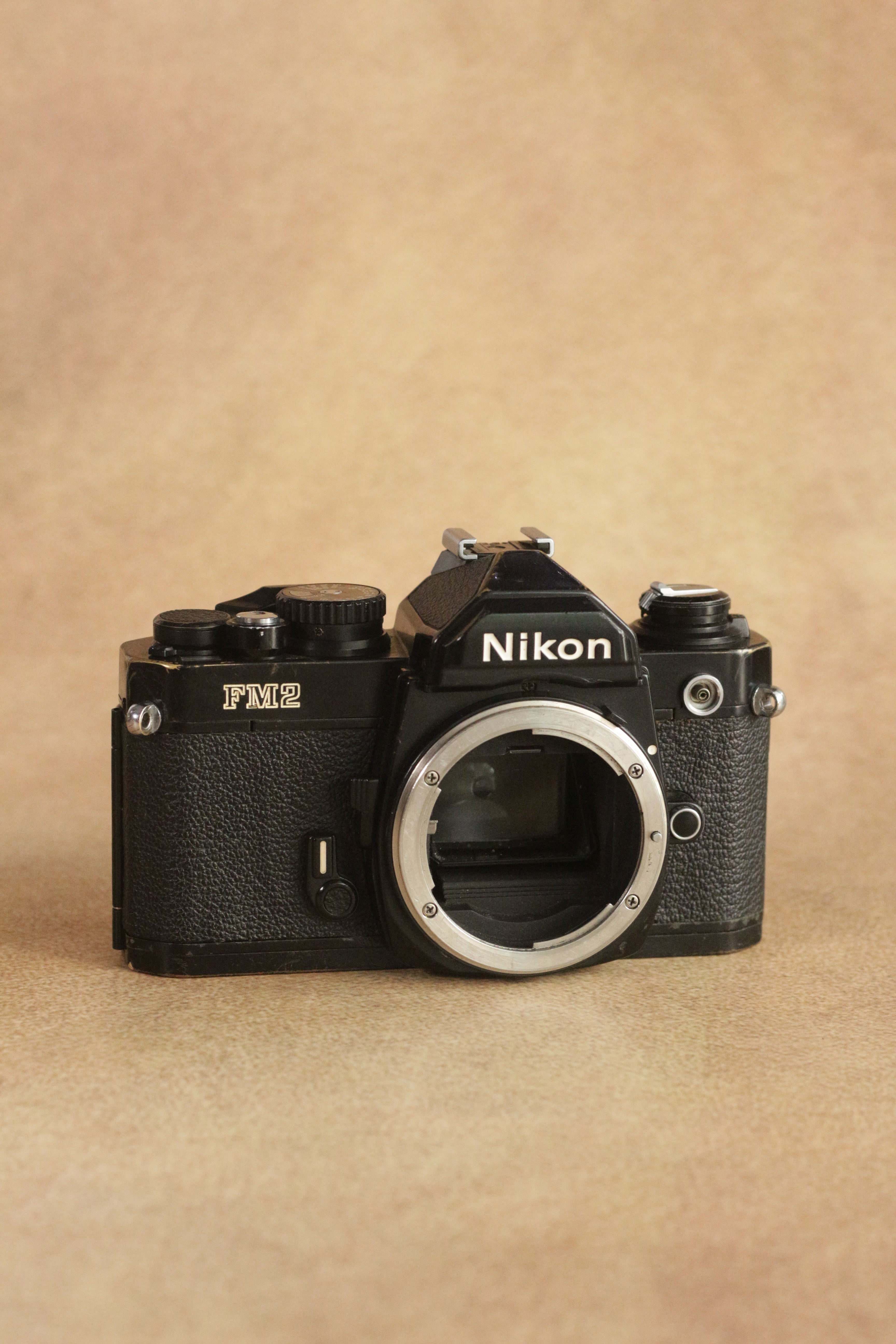 Nikon FM2n + Nikon Nikkor Series E 50mm F1.8