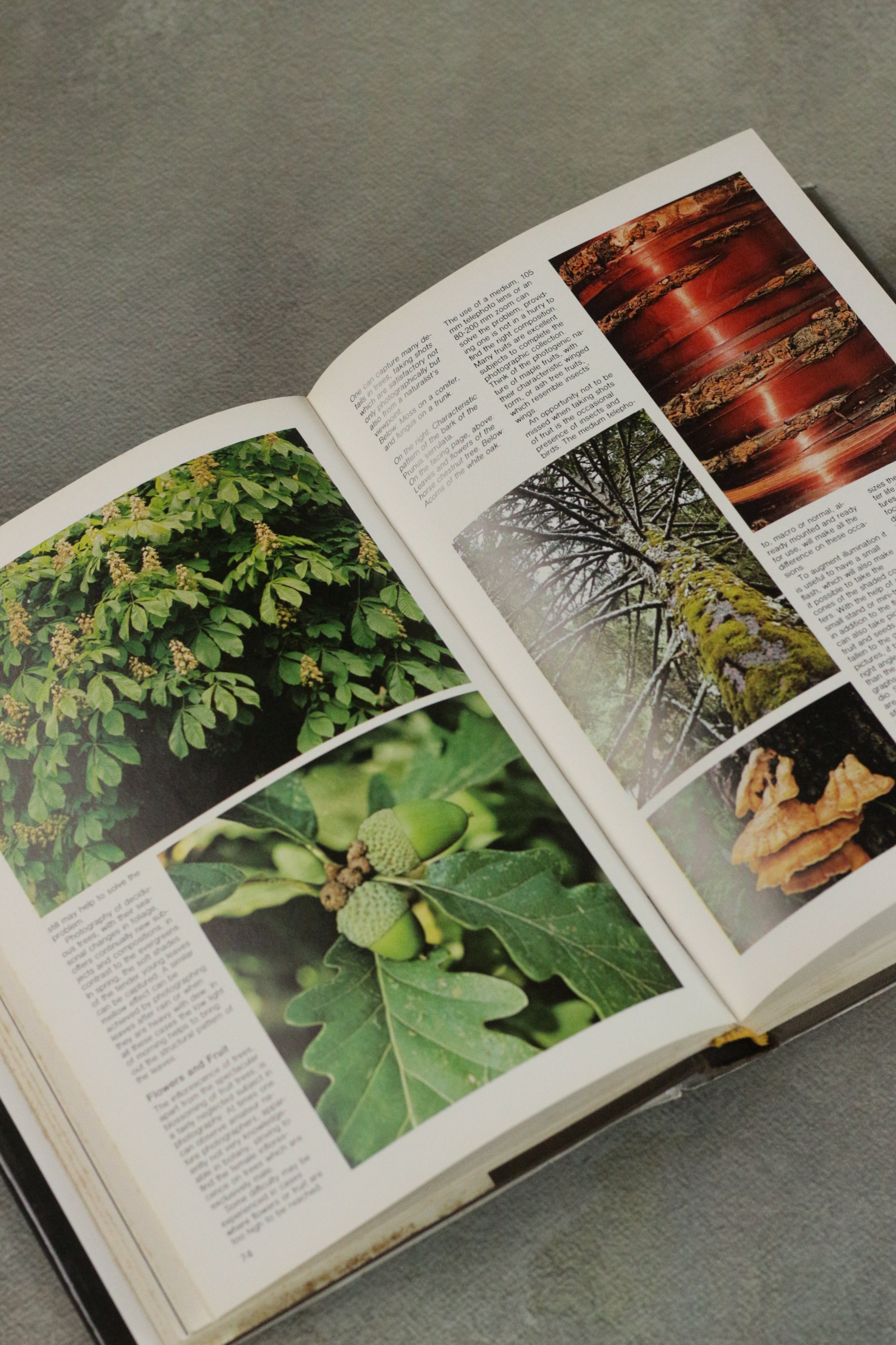The Complete Manual of Nature Photography (Book)