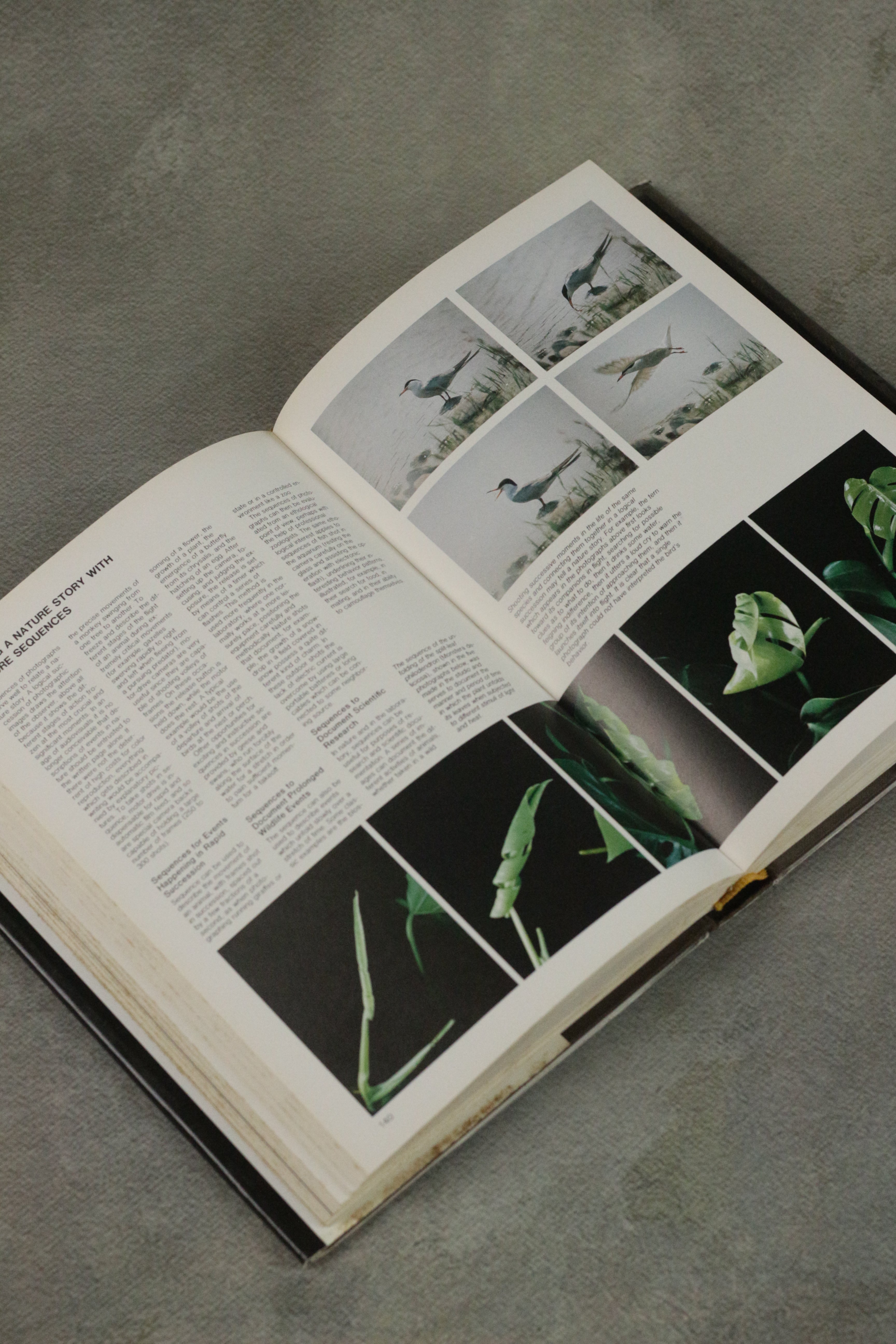 The Complete Manual of Nature Photography (Book)