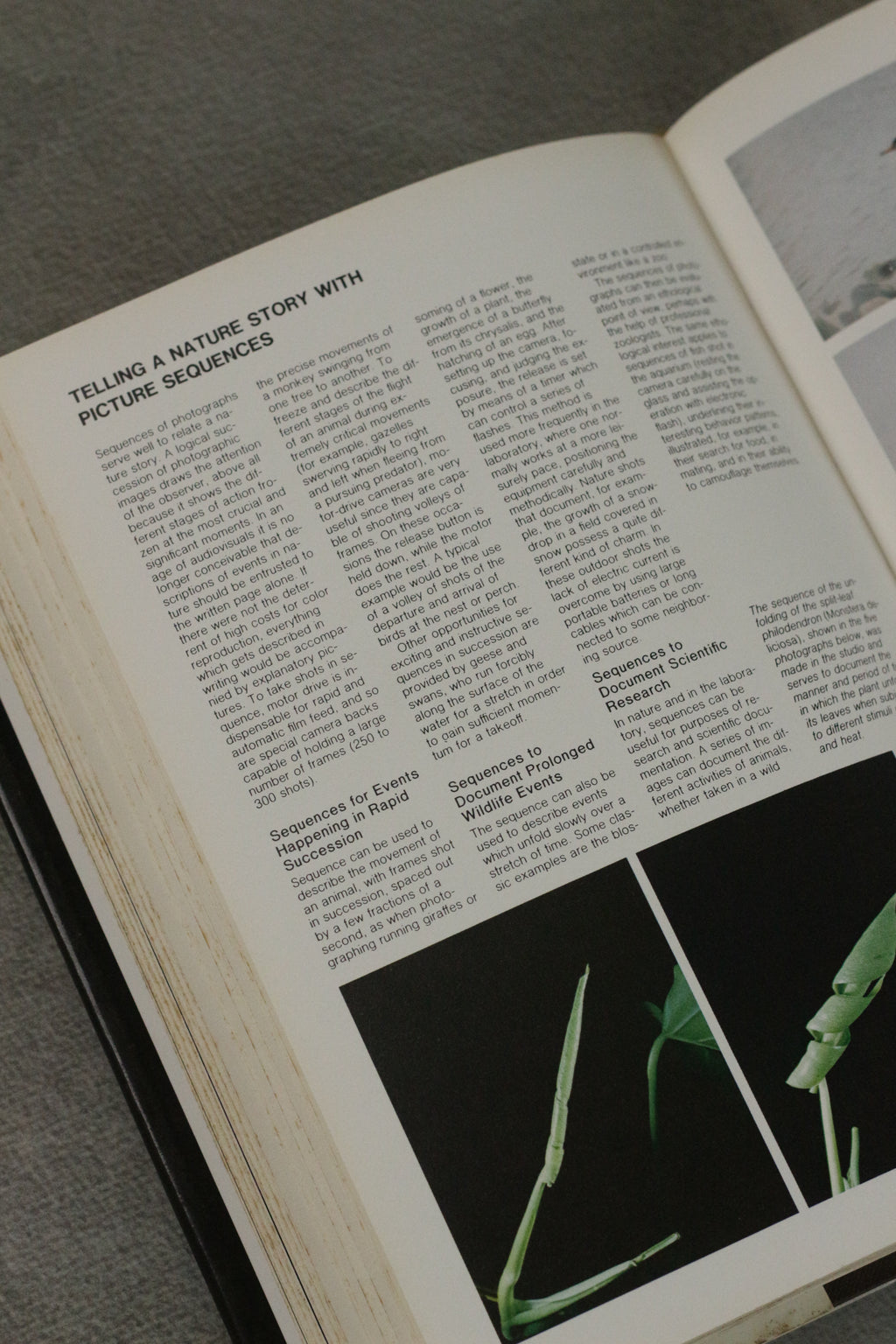 The Complete Manual of Nature Photography (Book)