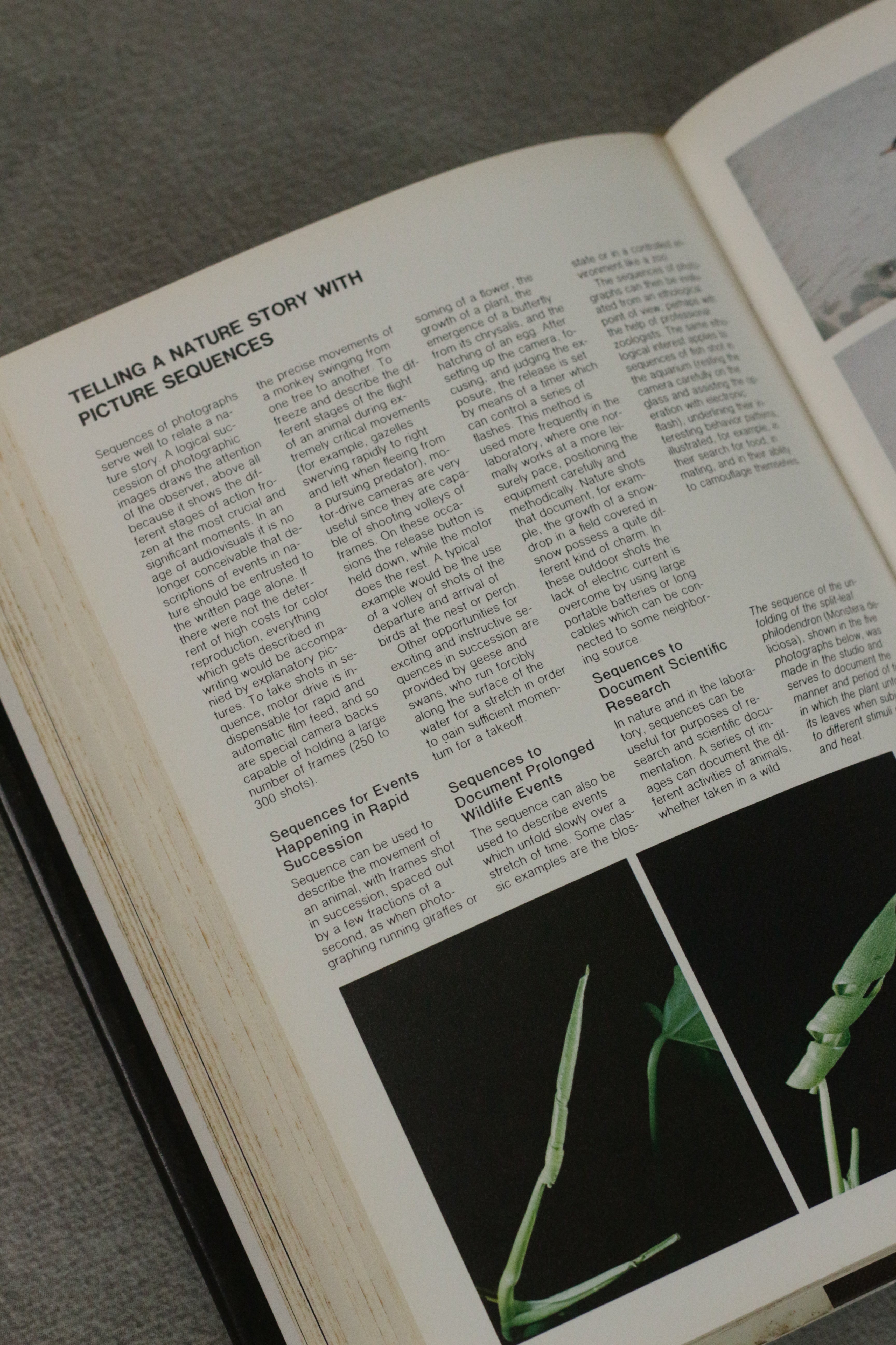 The Complete Manual of Nature Photography (Book)
