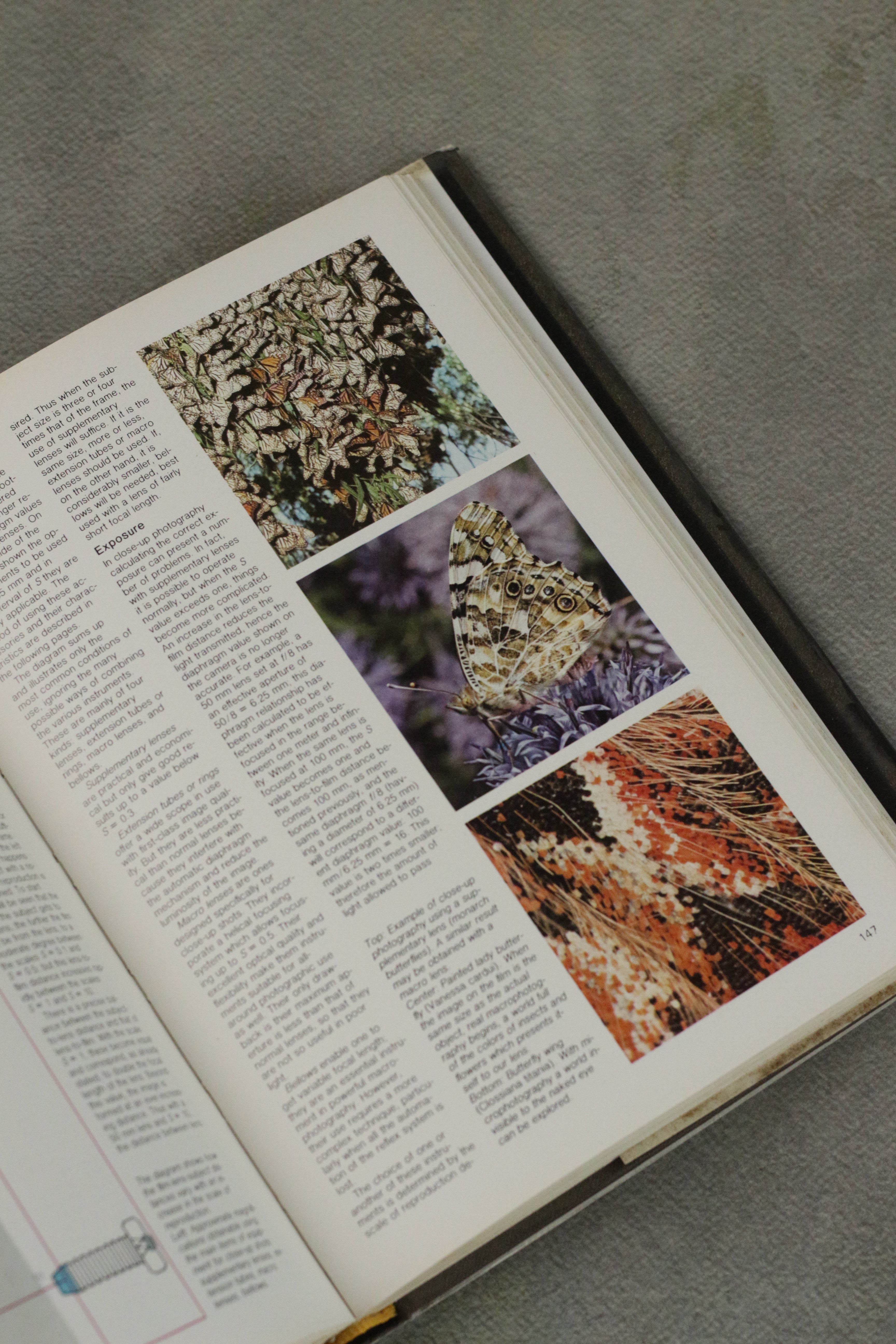 The Complete Manual of Nature Photography (Book)