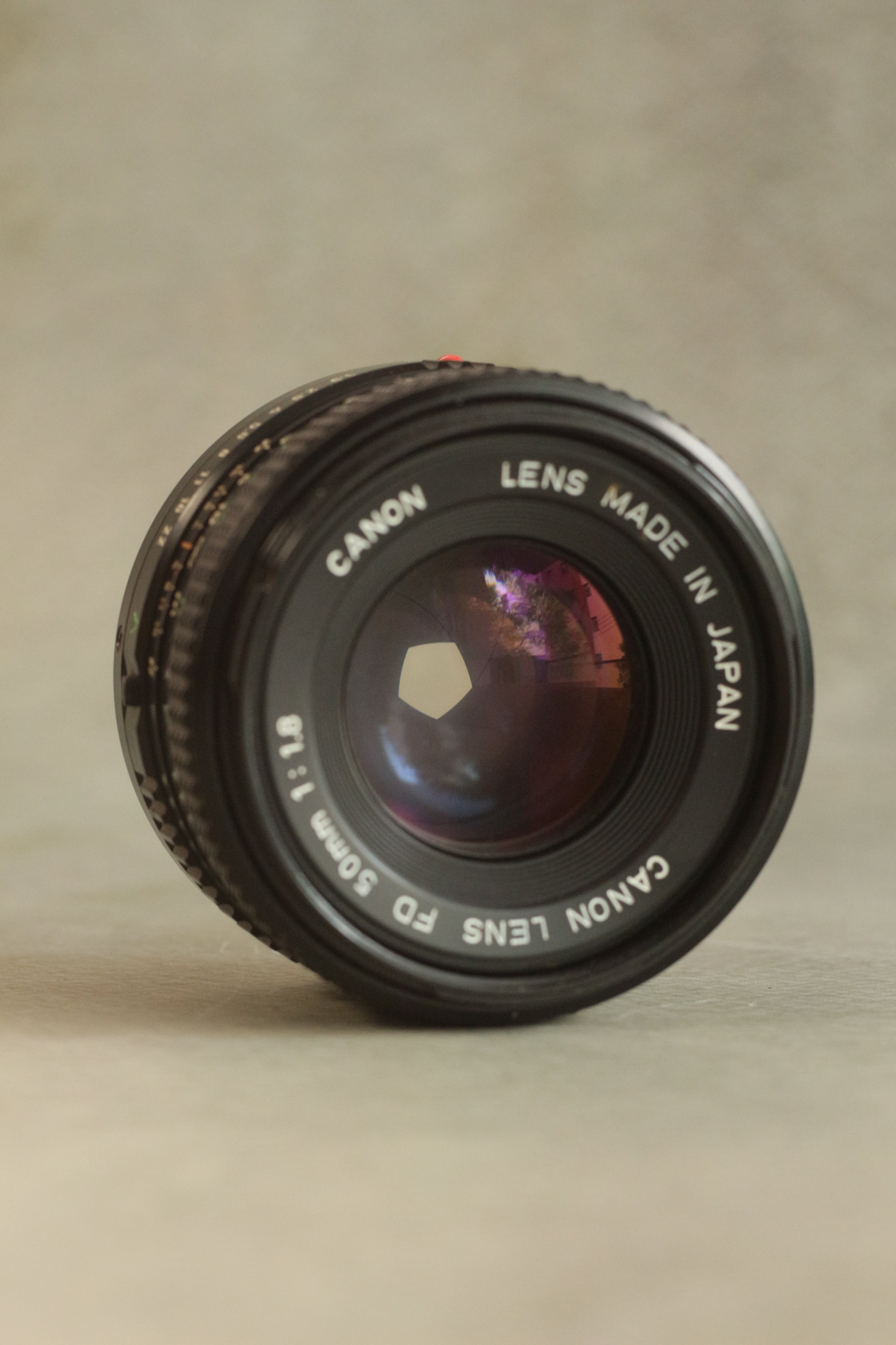 Canon AE-1 Program + 3 FD Lenses Kit