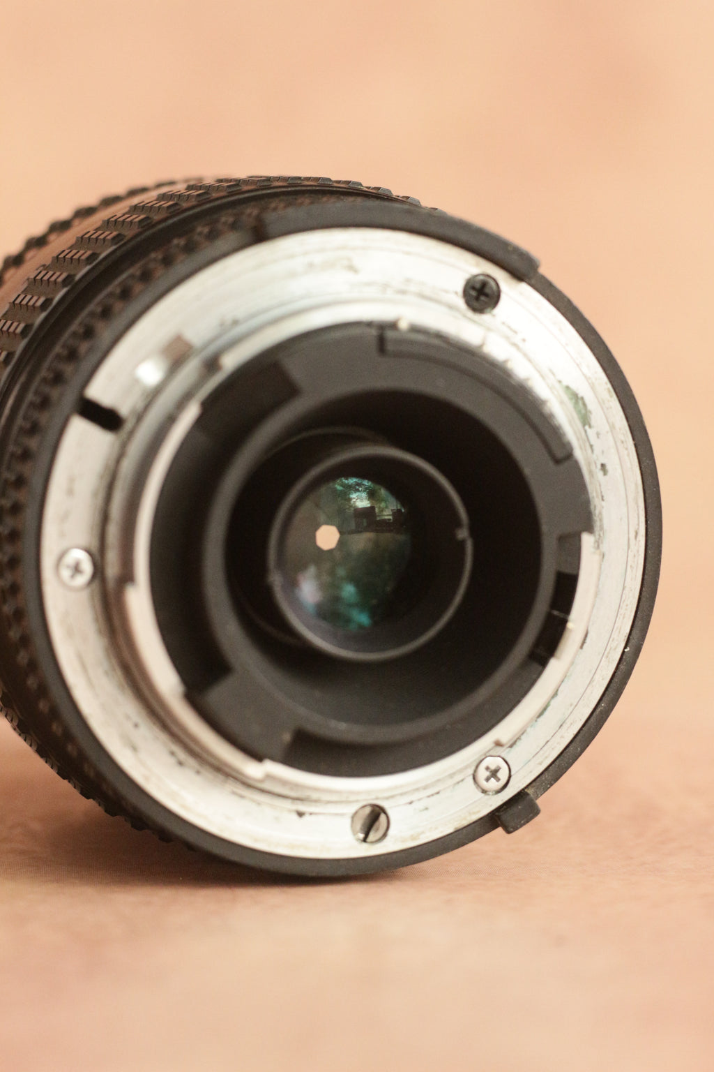 Nikon F65 + Nikkor AF 35-70mm F3.5-4.5 + battery grip