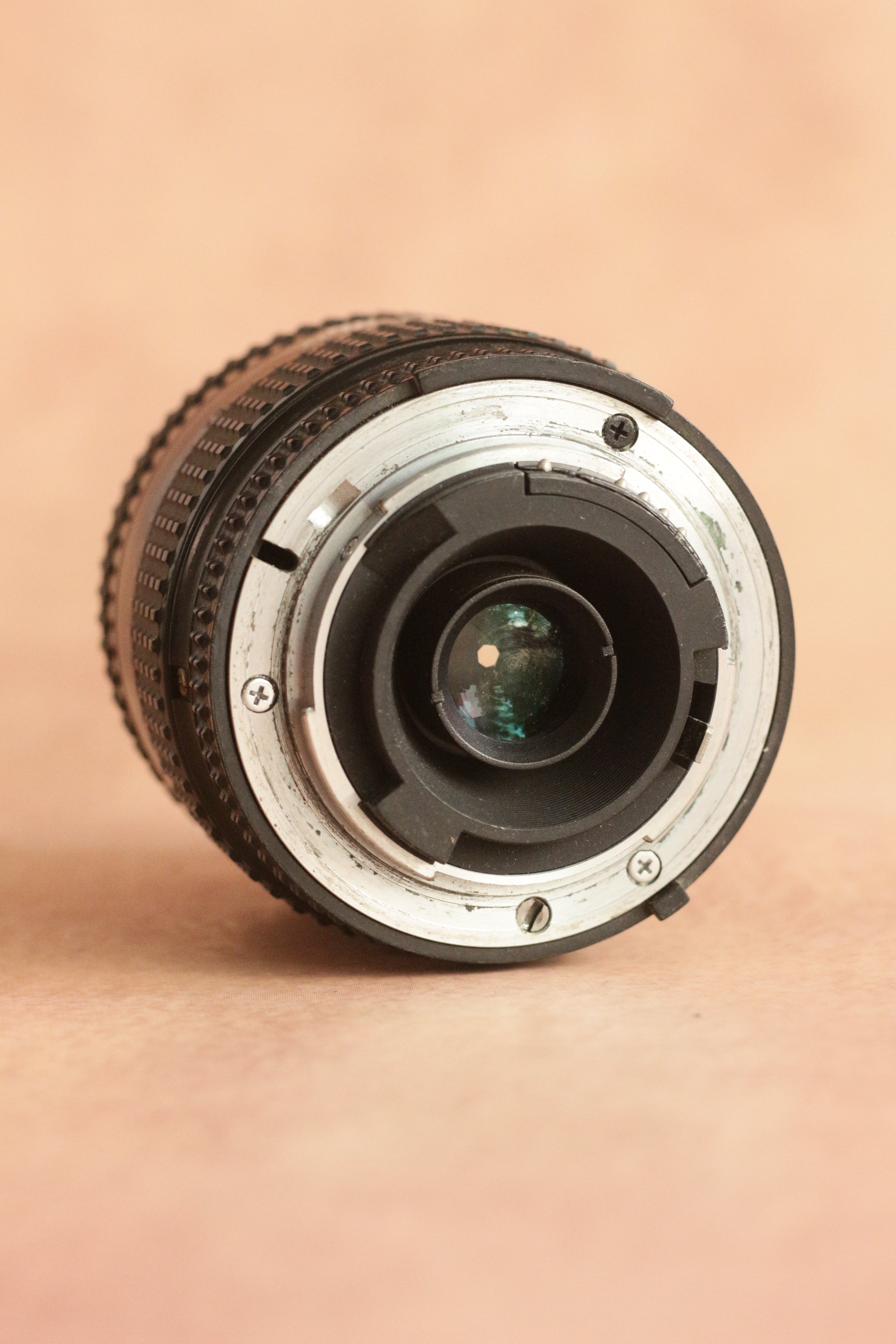 Nikon F65 + Nikkor AF 35-70mm F3.5-4.5 + battery grip
