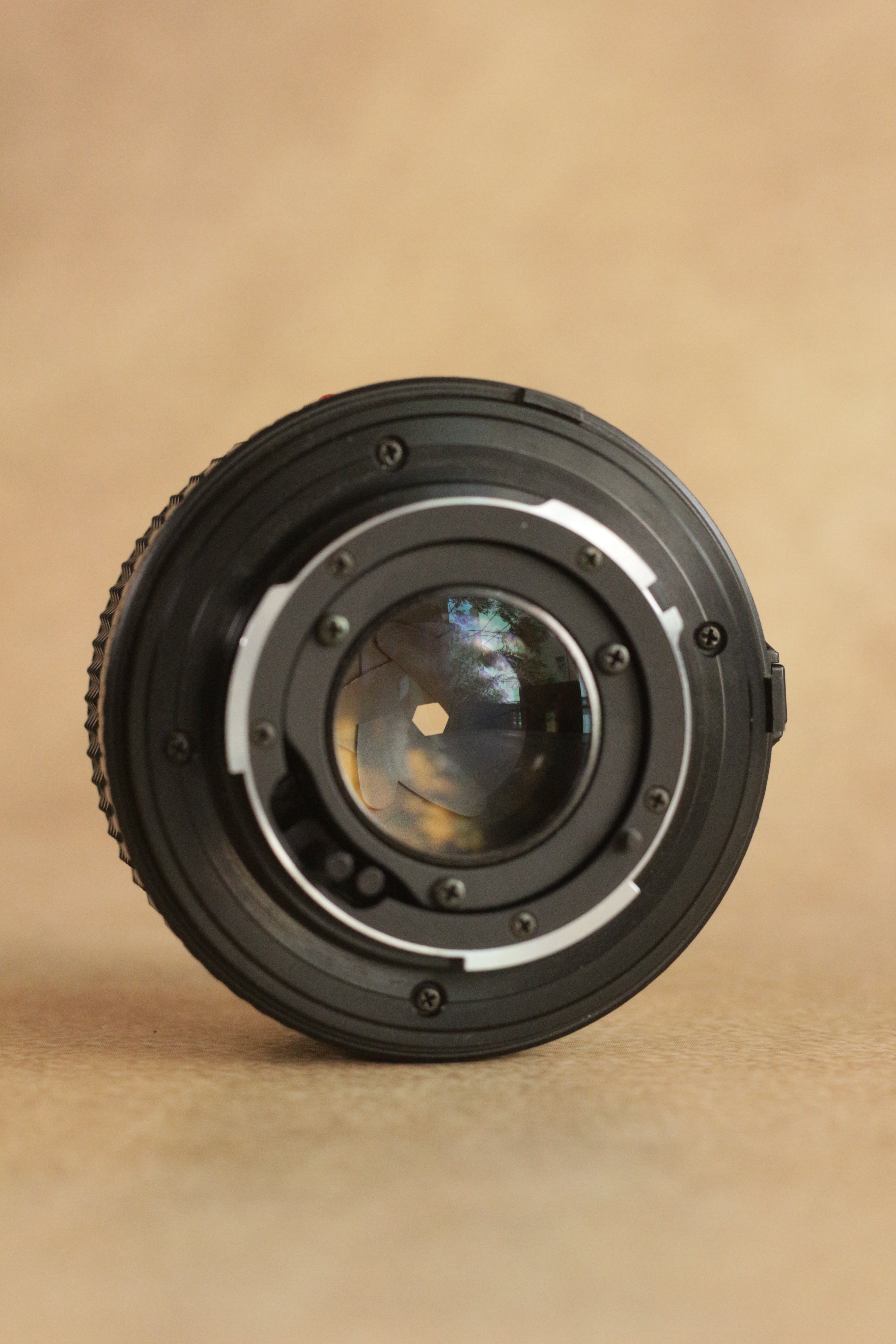 Minolta X-300 + Minolta MD 50mm F1.7