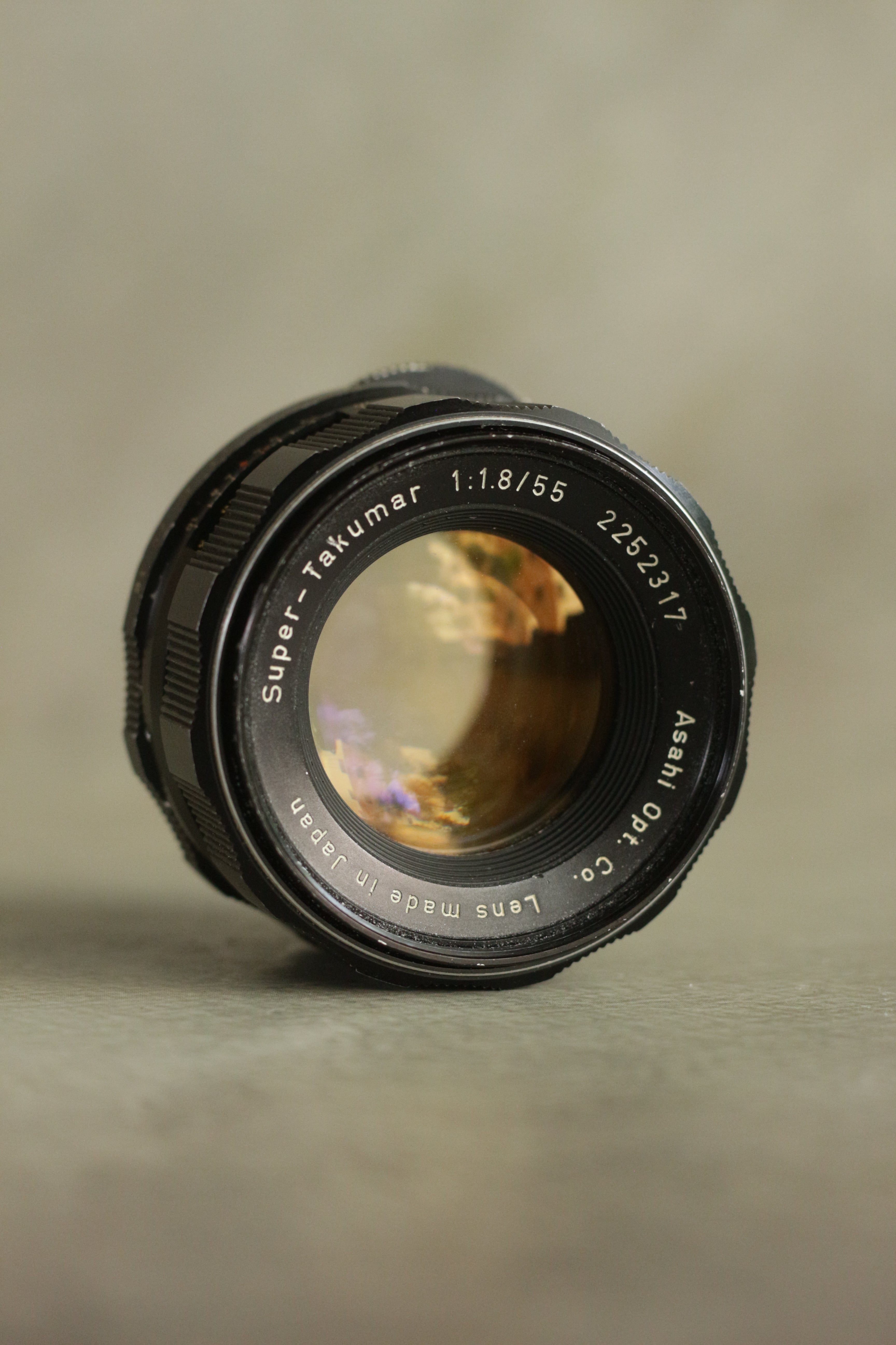 Honeywell Pentax SP500 + Asahi Super-Takumar 55mm F1.8