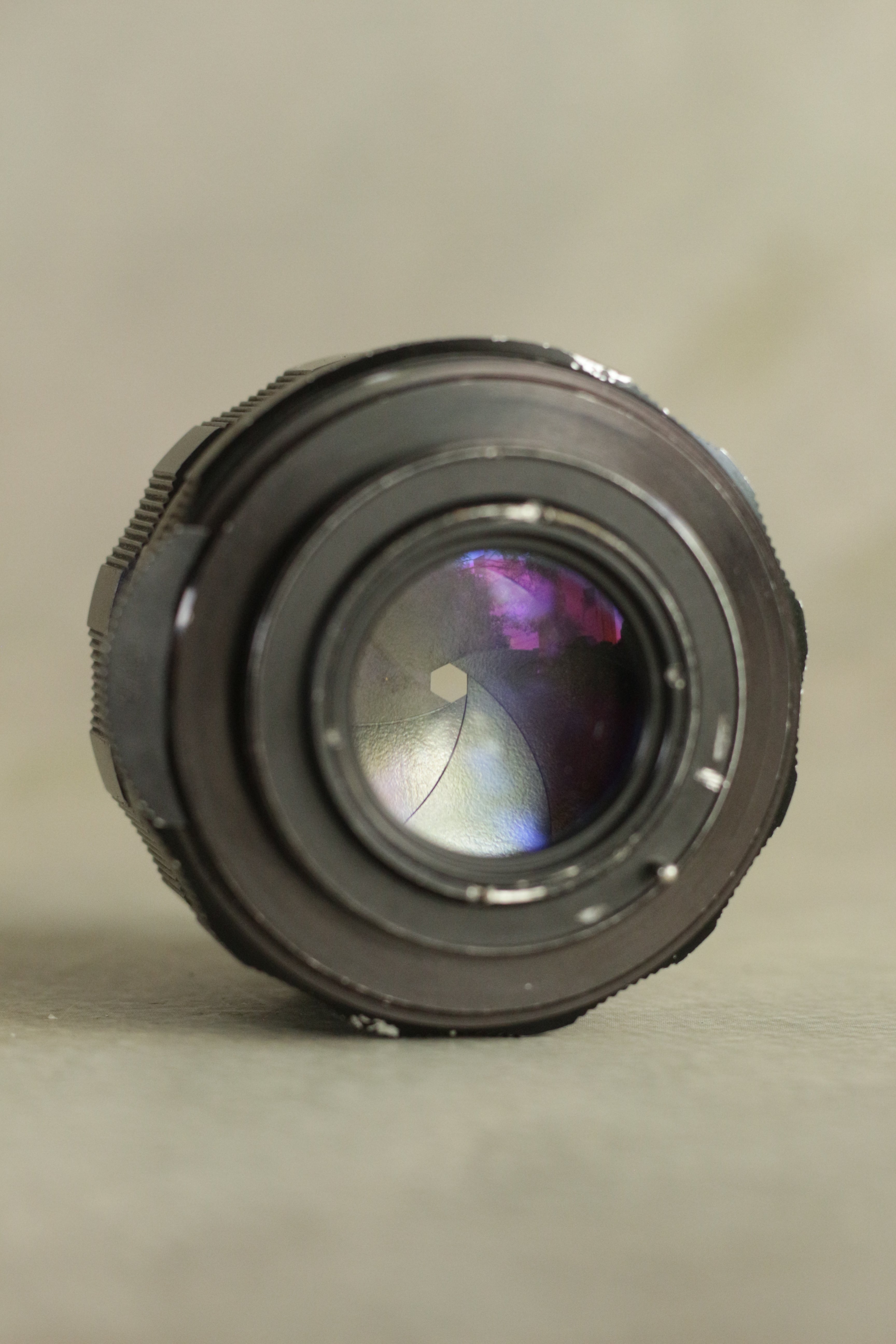 Honeywell Pentax SP500 + Asahi Super-Takumar 55mm F1.8