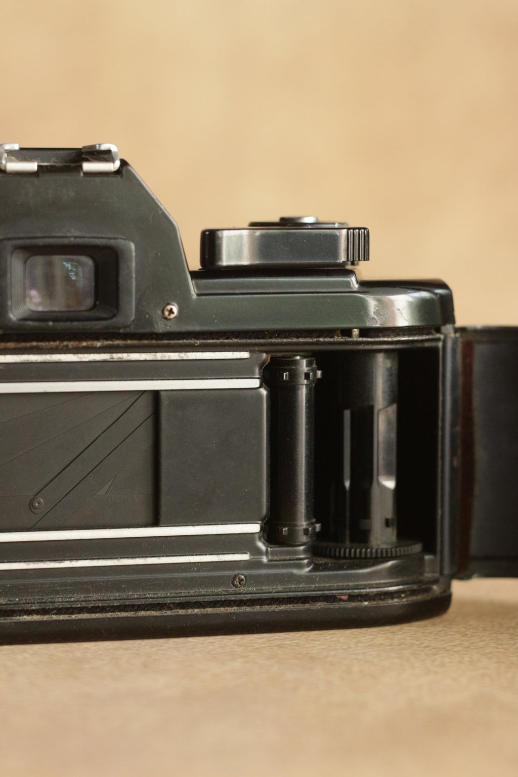 Nikon EM + Nikkor Zoom 35-70mm F3.5-4.8