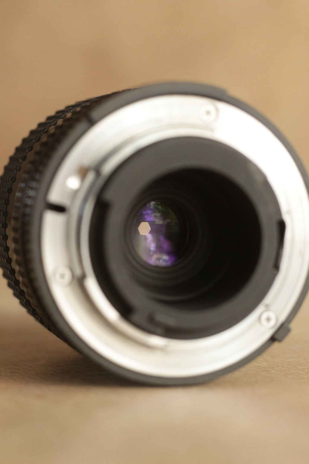Nikon EM + Nikkor Zoom 35-70mm F3.5-4.8
