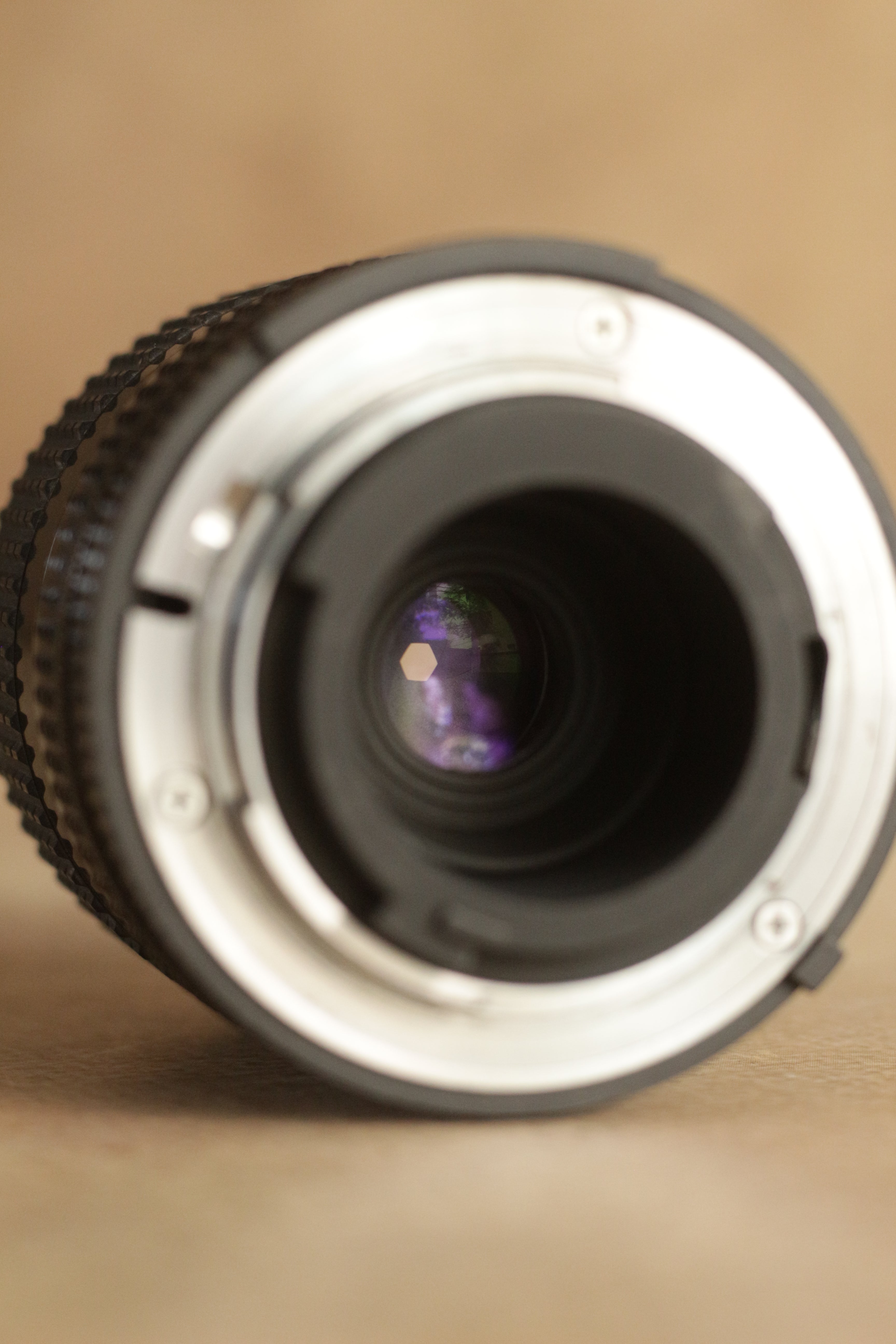 Nikon EM + Nikkor Zoom 35-70mm F3.5-4.8