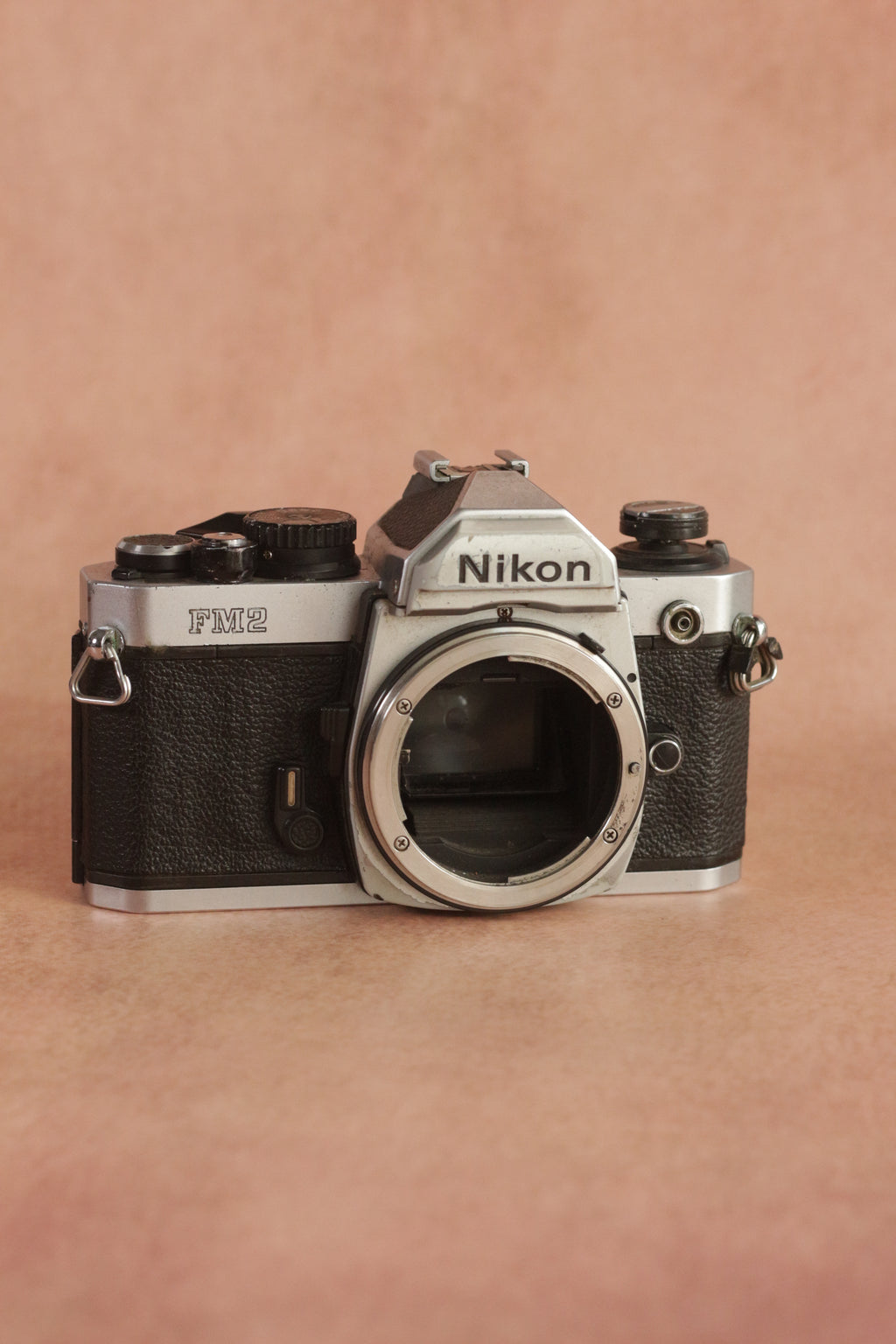 Nikon FM2n + Nikkor AF 50mm f/1.8D
