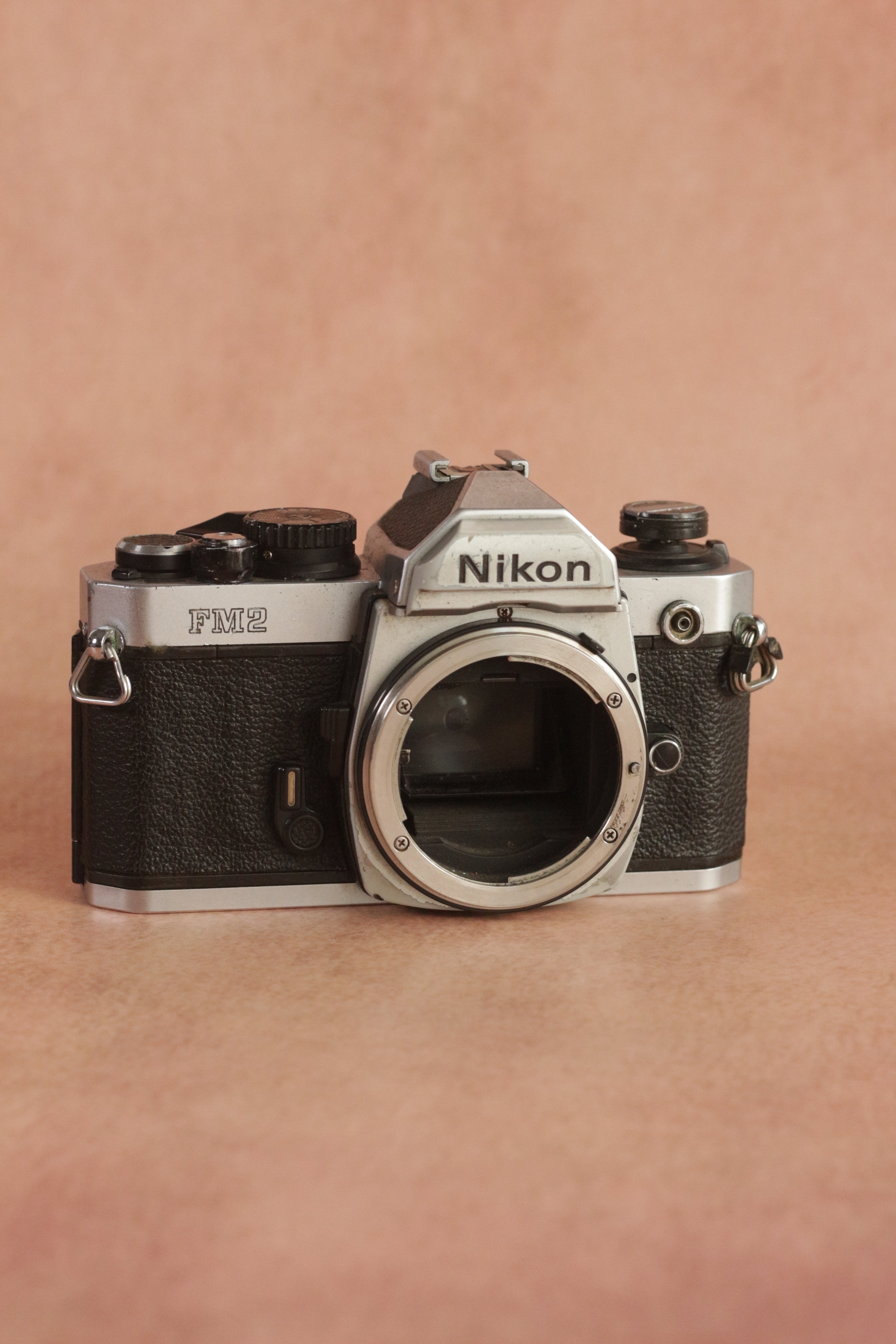 Nikon FM2n + Nikkor AF 50mm f/1.8D