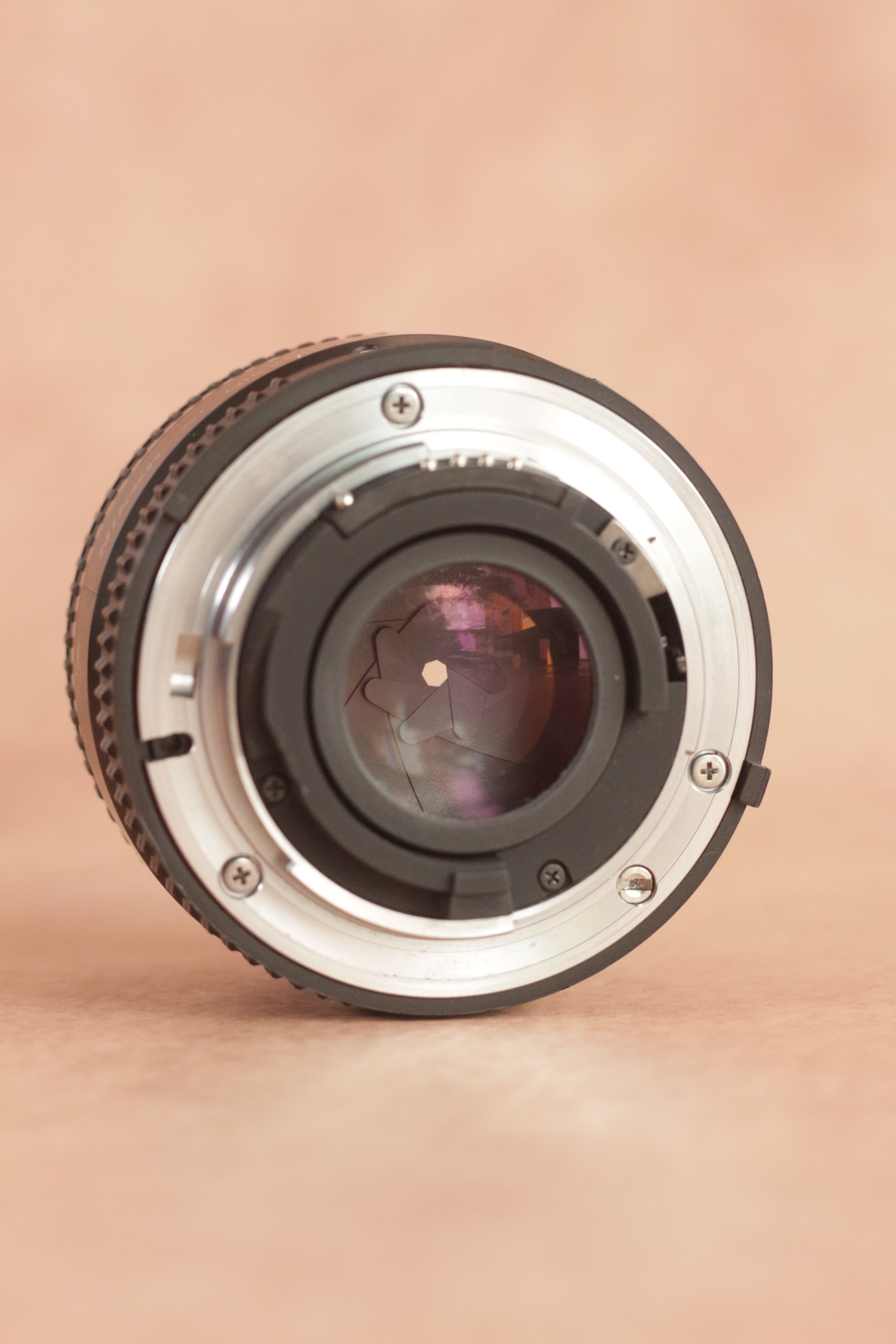 Nikon FM2n + Nikkor AF 50mm f/1.8D