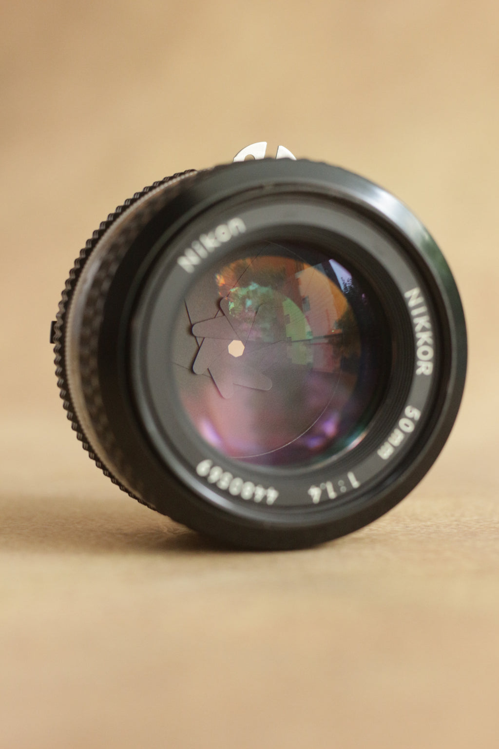 Nikon FM2n + Nikkor AI-S 50mm F1.4