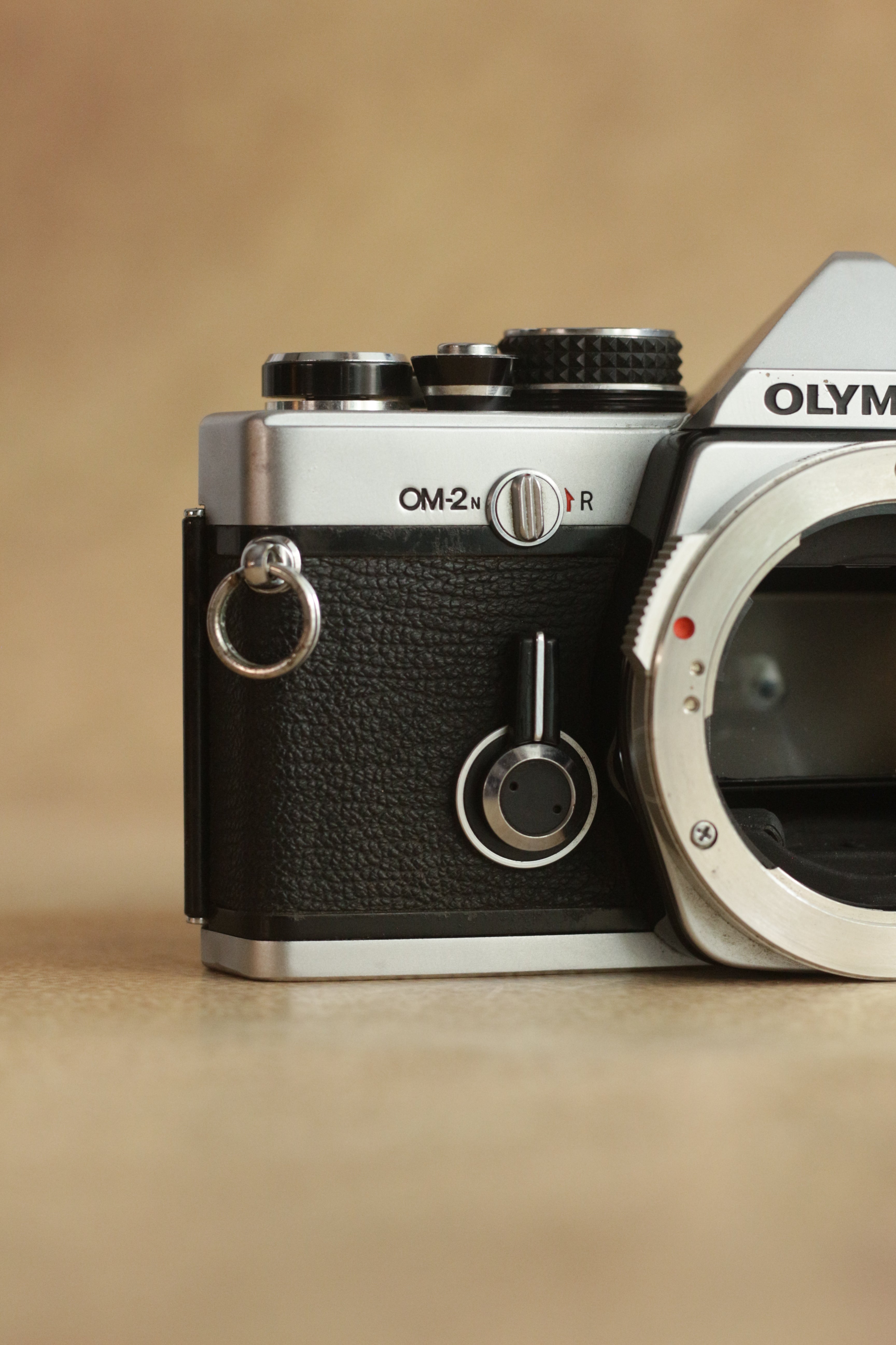 Olympus OM-2n + Zuiko MC Auto-S 50mm F1.4