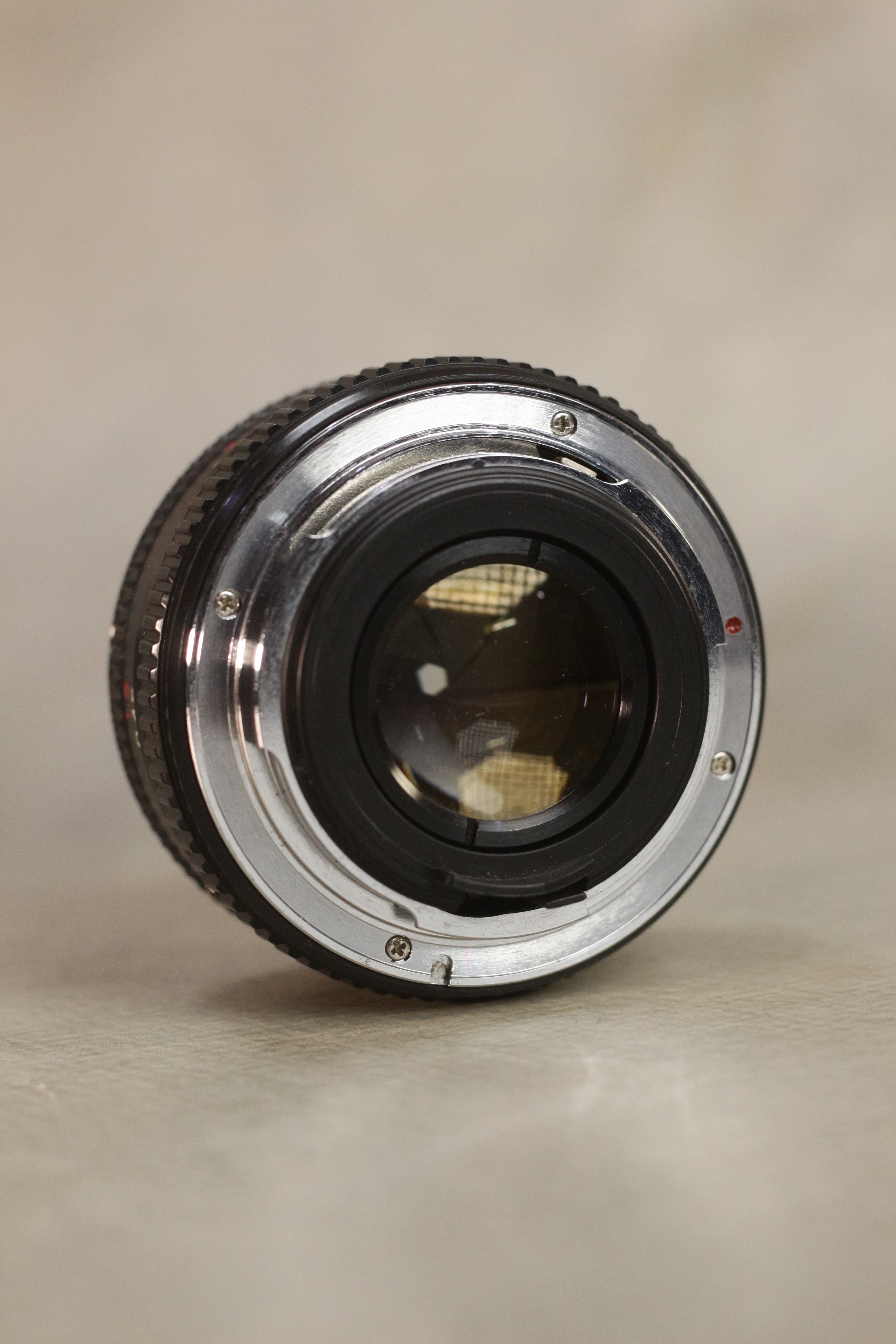 Vivitar V3000S Special Edition + 50mm f/1.7