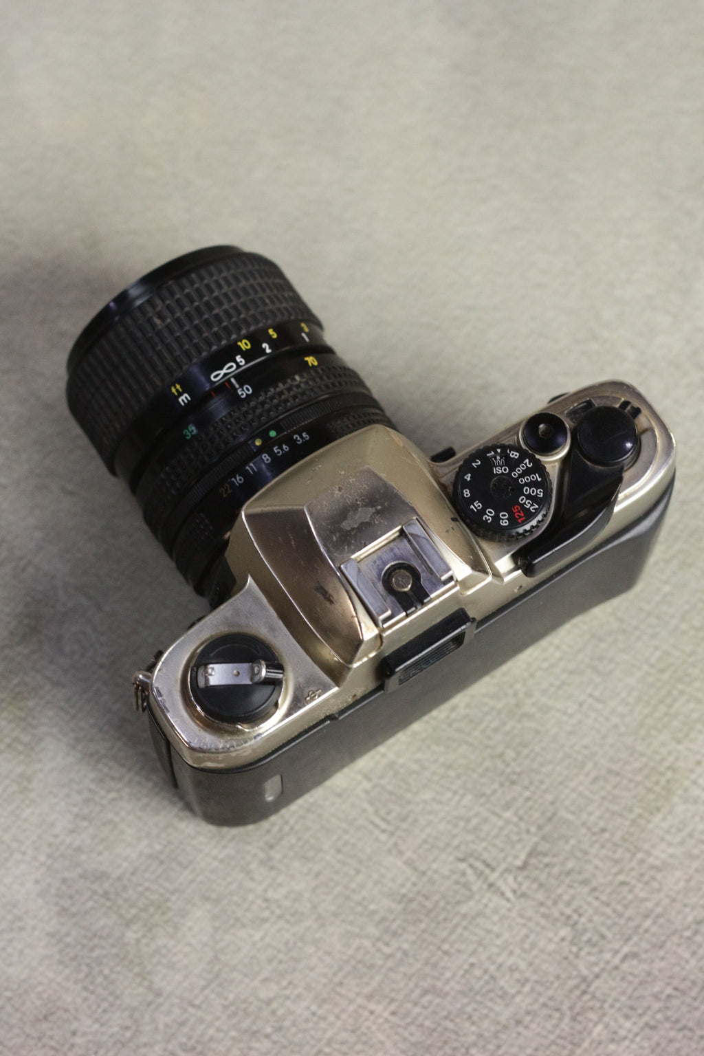 Nikon FM10 + Nikkor 35-70mm Zoom