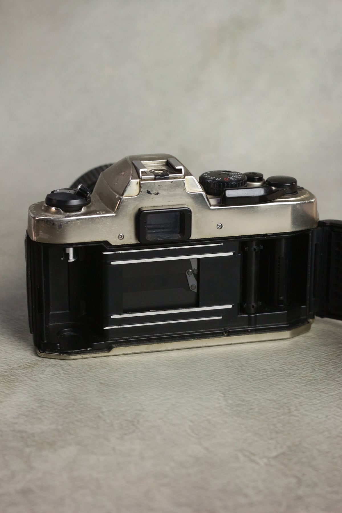 Nikon FM10 + Nikkor 35-70mm Zoom