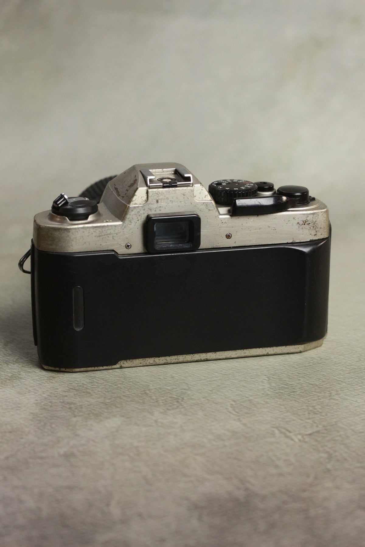Nikon FM10 + Nikkor 35-70mm Zoom
