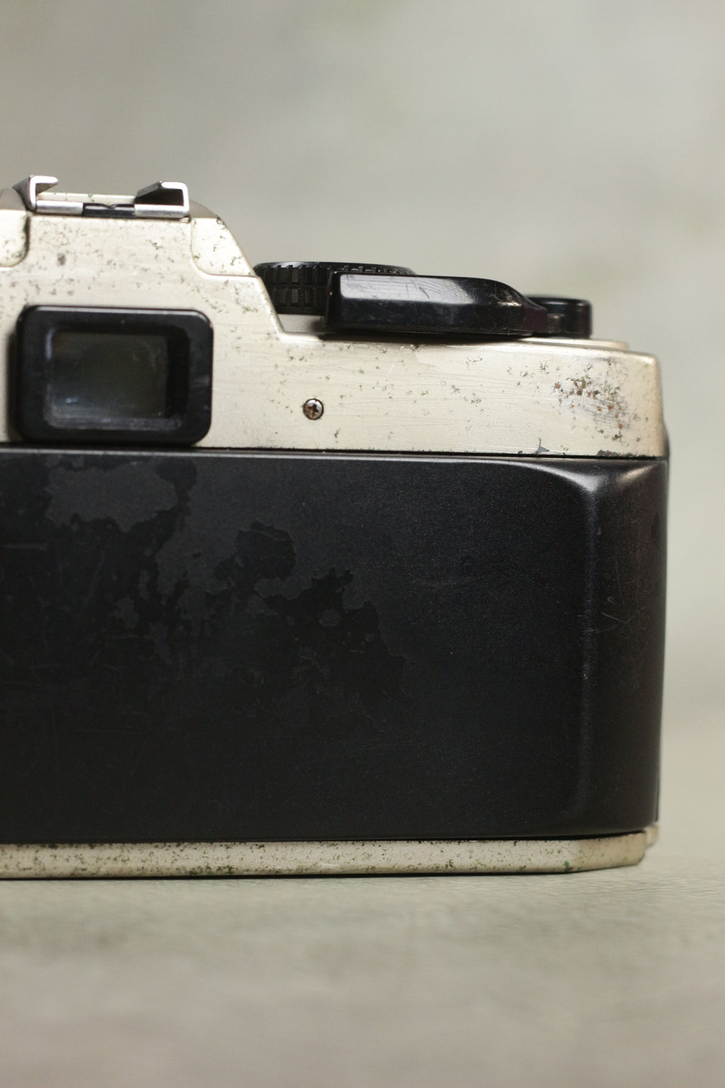 Nikon FM10 + Nikkor 35-70mm Zoom