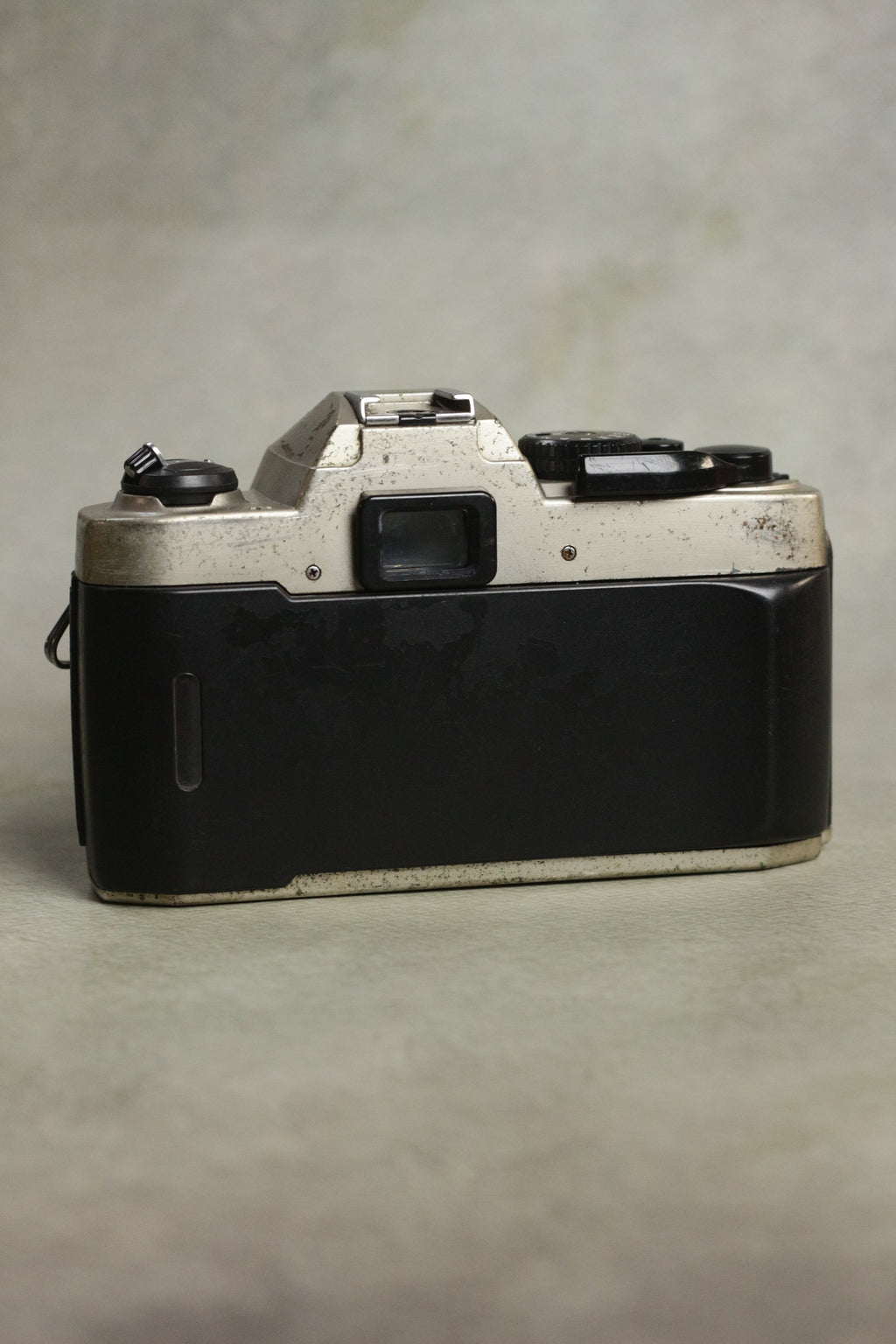 Nikon FM10 + Nikkor 35-70mm Zoom