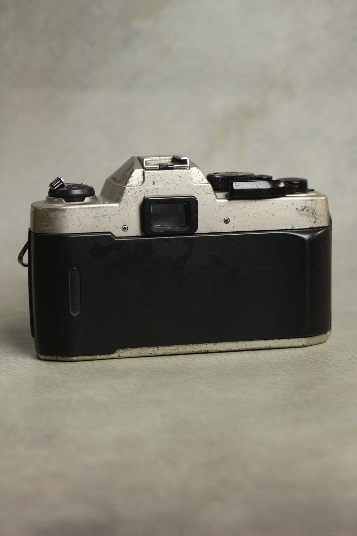 Nikon FM10 + Nikkor 35-70mm Zoom
