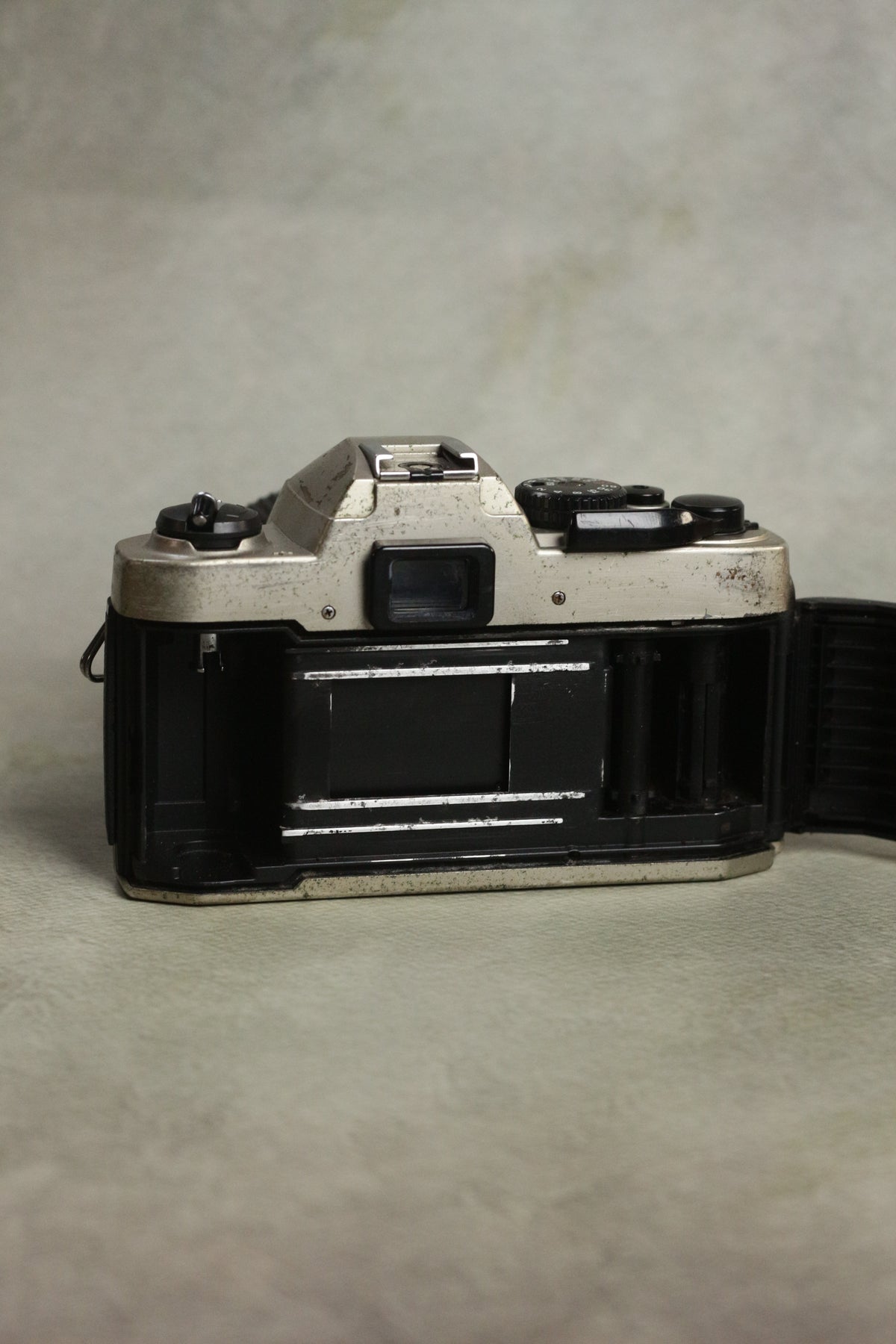 Nikon FM10 + Nikkor 35-70mm Zoom